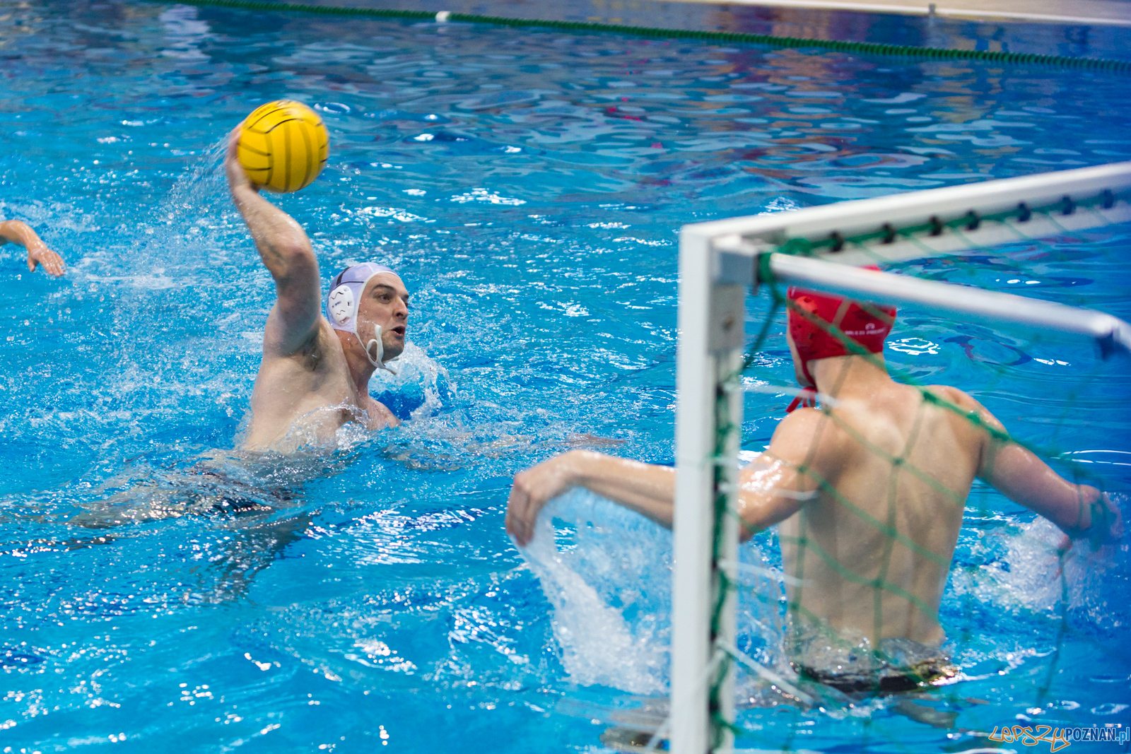 Waterpolo Poznań - Arkonia Szczecin Foto: lepszyPOZNAN.pl/Piotr Rychter Waterpolo Poznań - Arkonia Szczecin Foto: lepszyPOZNAN.pl/Piotr Rychter