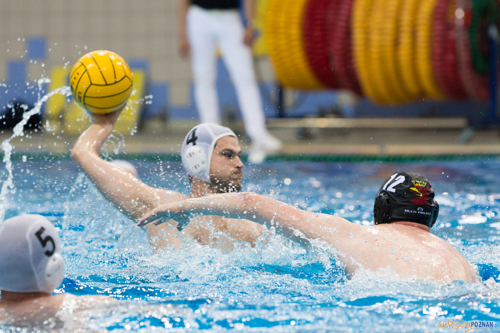Waterpolo Poznań - Arkonia Szczecin Foto: lepszyPOZNAN.pl/Piotr Rychter Waterpolo Poznań - Arkonia Szczecin Foto: lepszyPOZNAN.pl/Piotr Rychter