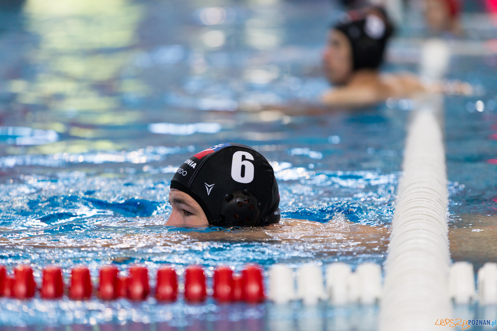 Waterpolo Poznań - Arkonia Szczecin Foto: lepszyPOZNAN.pl/Piotr Rychter Waterpolo Poznań - Arkonia Szczecin Foto: lepszyPOZNAN.pl/Piotr Rychter