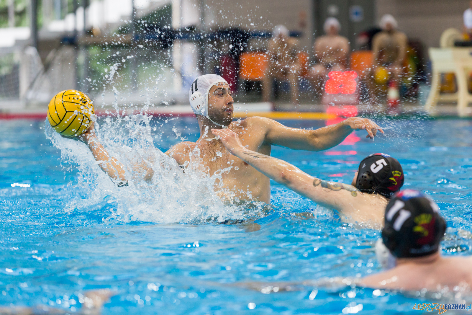 Waterpolo Poznań - Arkonia Szczecin Foto: lepszyPOZNAN.pl/Piotr Rychter Waterpolo Poznań - Arkonia Szczecin Foto: lepszyPOZNAN.pl/Piotr Rychter