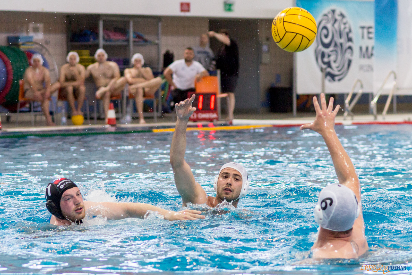 KS Waterpolo Poznań - Arkonia Szczecin Foto: lepszyPOZNAN.pl / Ewelina Jaśkowiak KS Waterpolo Poznań - Arkonia Szczecin Foto: lepszyPOZNAN.pl / Ewelina Jaśkowiak