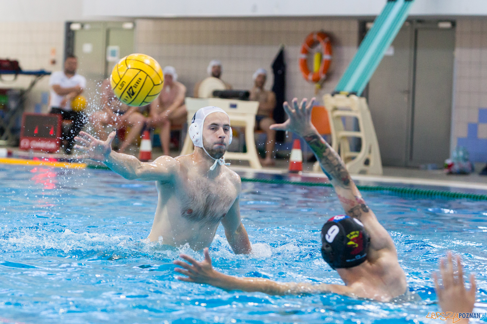 Waterpolo Poznań - Arkonia Szczecin Foto: lepszyPOZNAN.pl/Piotr Rychter Waterpolo Poznań - Arkonia Szczecin Foto: lepszyPOZNAN.pl/Piotr Rychter