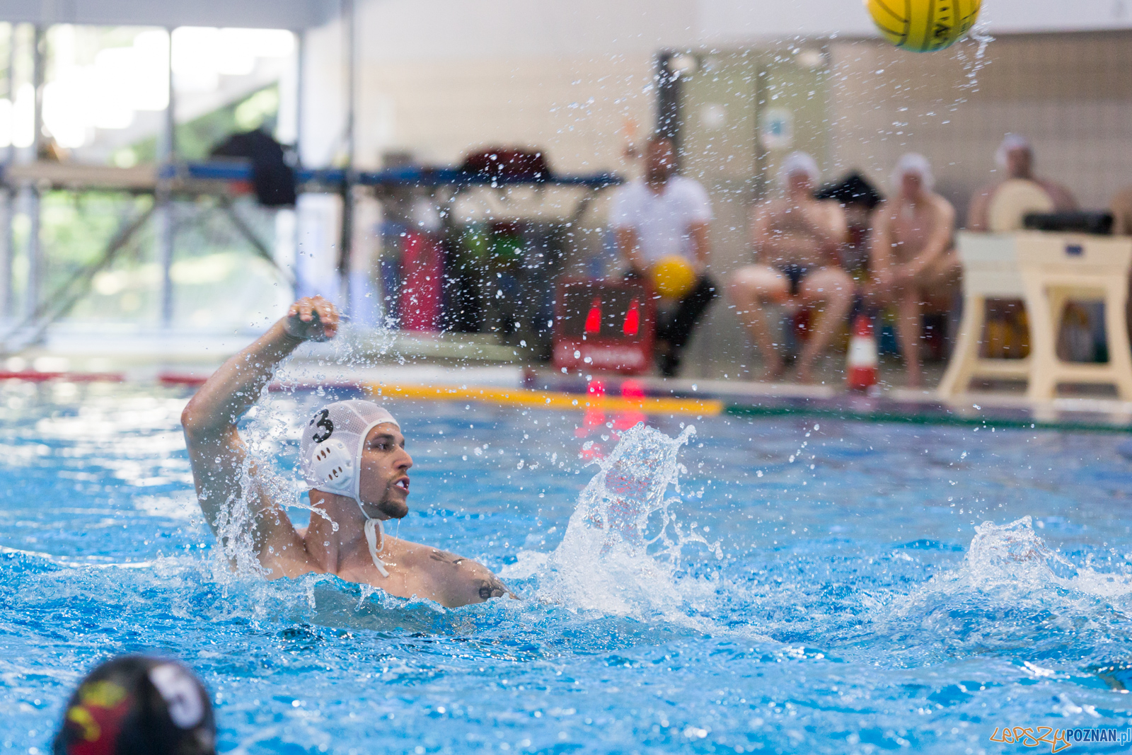 Waterpolo Poznań - Arkonia Szczecin Foto: lepszyPOZNAN.pl/Piotr Rychter Waterpolo Poznań - Arkonia Szczecin Foto: lepszyPOZNAN.pl/Piotr Rychter