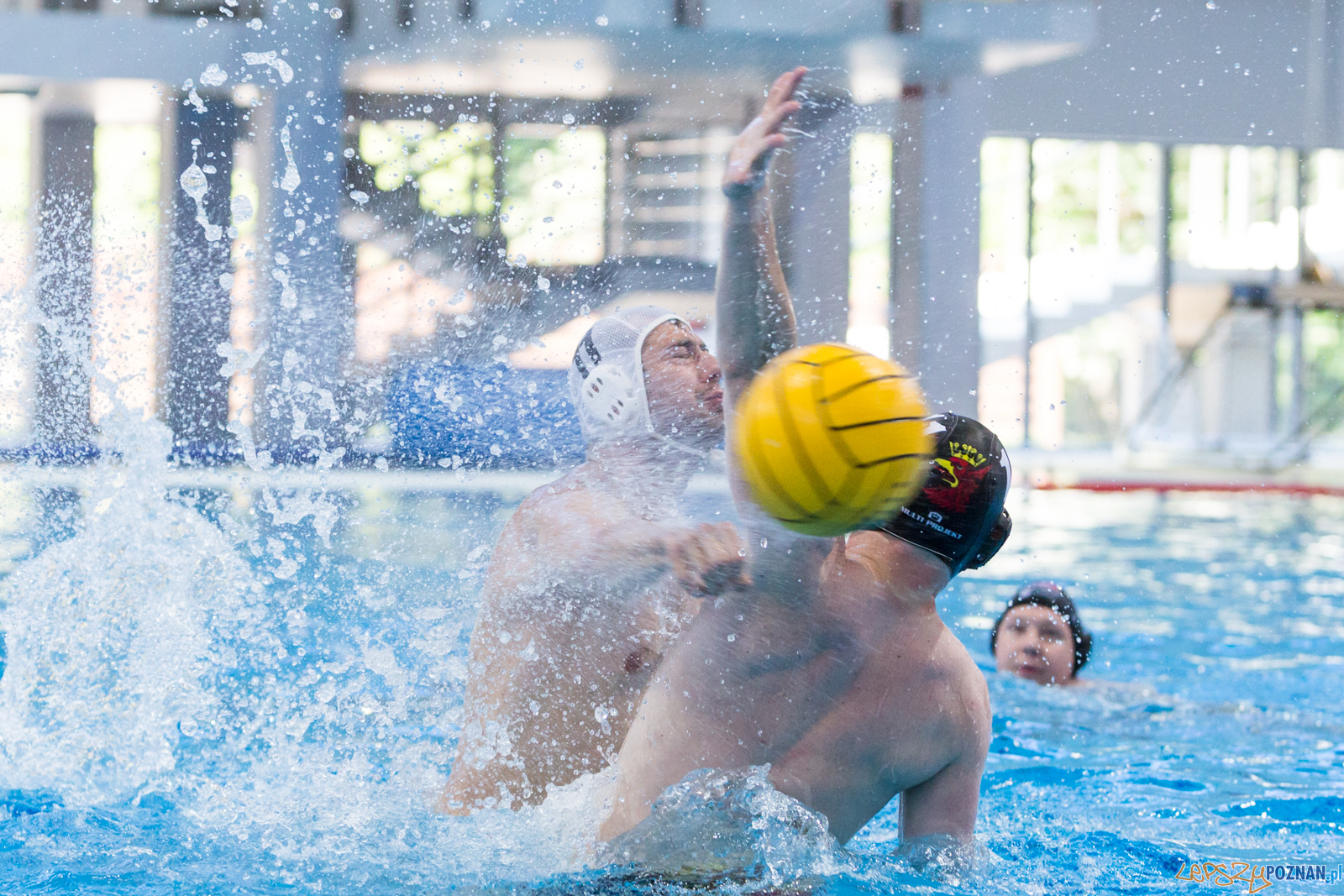 Waterpolo Poznań - Arkonia Szczecin Foto: lepszyPOZNAN.pl/Piotr Rychter Waterpolo Poznań - Arkonia Szczecin Foto: lepszyPOZNAN.pl/Piotr Rychter