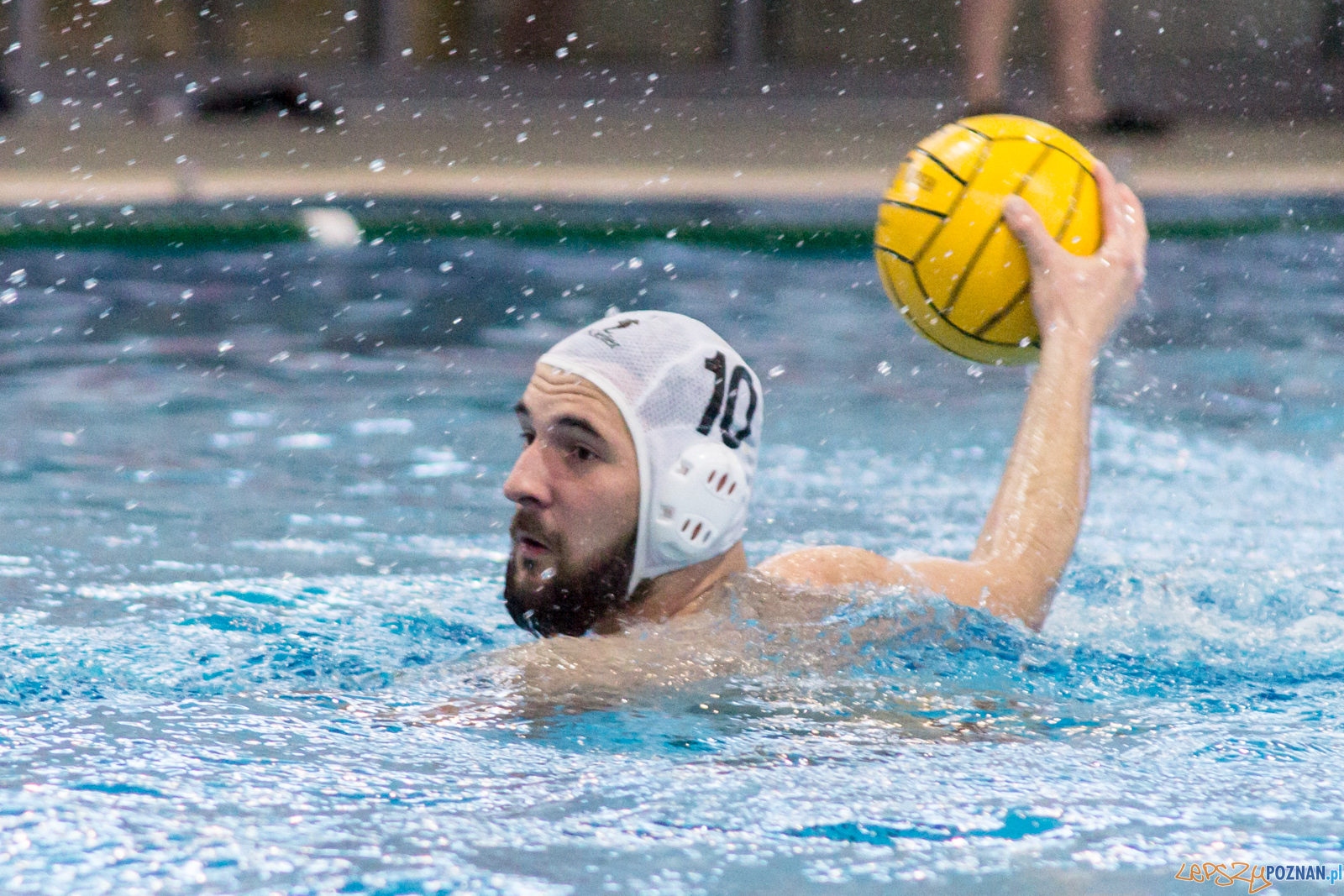 KS Waterpolo Poznań - Arkonia Szczecin Foto: lepszyPOZNAN.pl / Ewelina Jaśkowiak KS Waterpolo Poznań - Arkonia Szczecin Foto: lepszyPOZNAN.pl / Ewelina Jaśkowiak