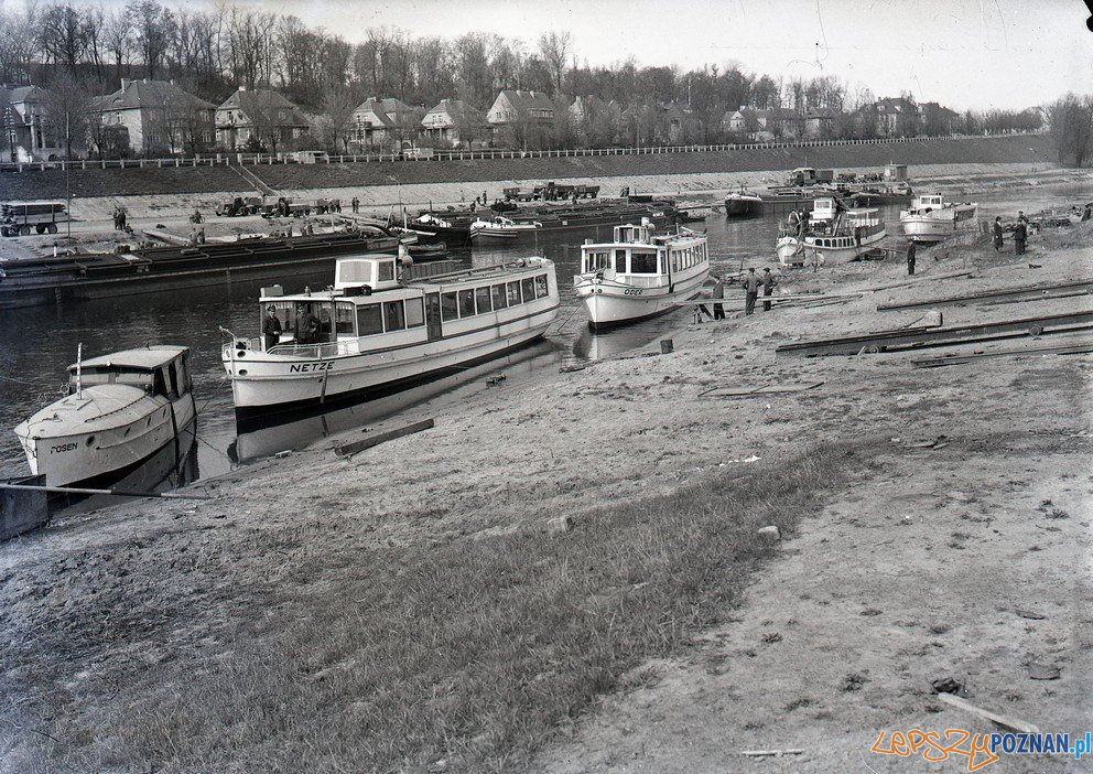 Warta - statki przy Szelągowskiej  Foto: Kronika Miasta Poznania 