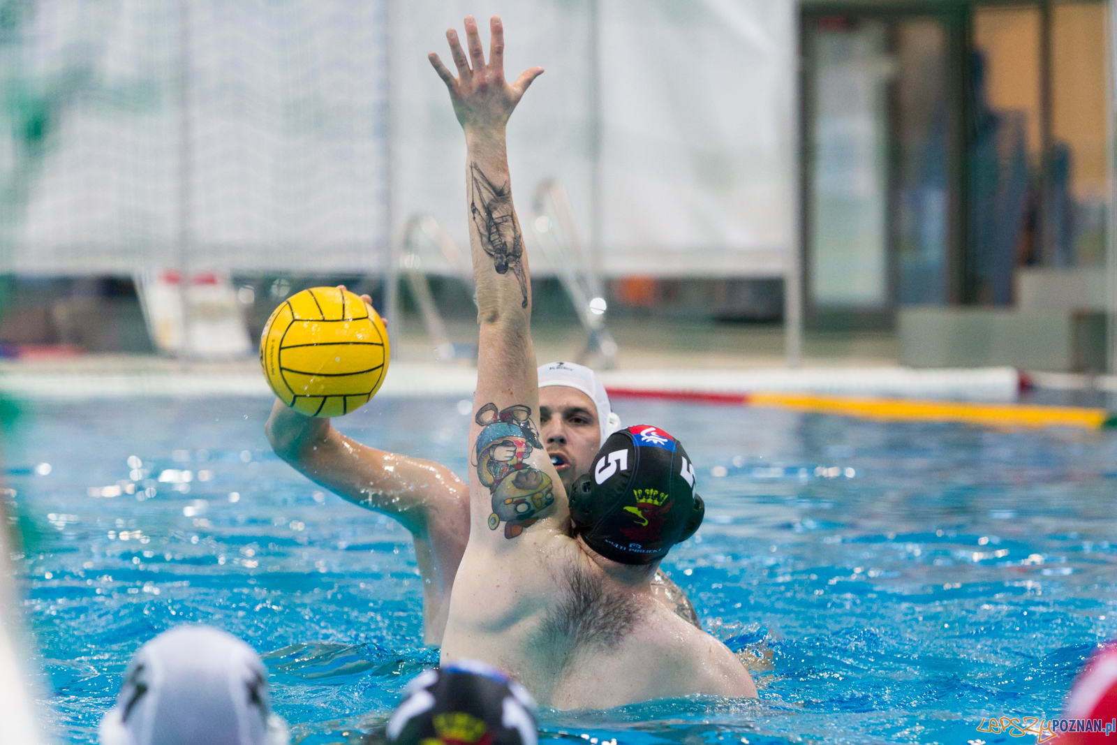 Waterpolo Poznań - Arkonia Szczecin Foto: lepszyPOZNAN.pl/Piotr Rychter Waterpolo Poznań - Arkonia Szczecin Foto: lepszyPOZNAN.pl/Piotr Rychter