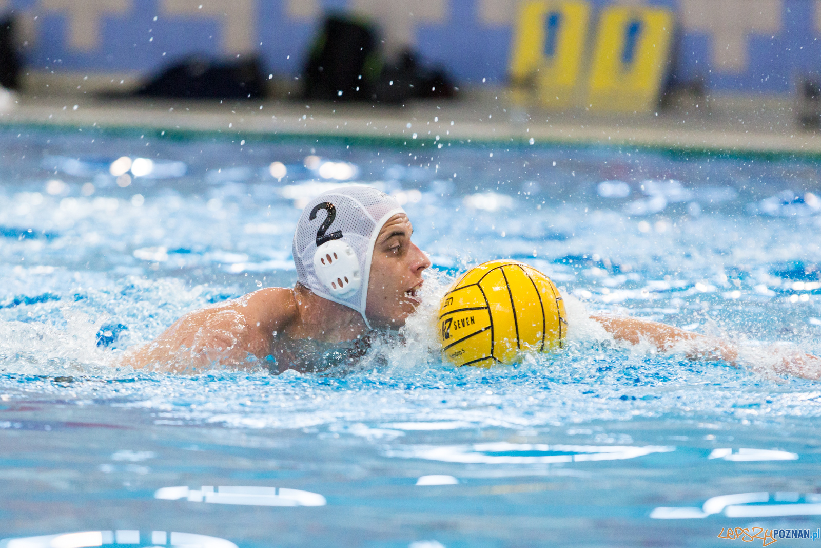 Waterpolo Poznań - Arkonia Szczecin Foto: lepszyPOZNAN.pl/Piotr Rychter Waterpolo Poznań - Arkonia Szczecin Foto: lepszyPOZNAN.pl/Piotr Rychter