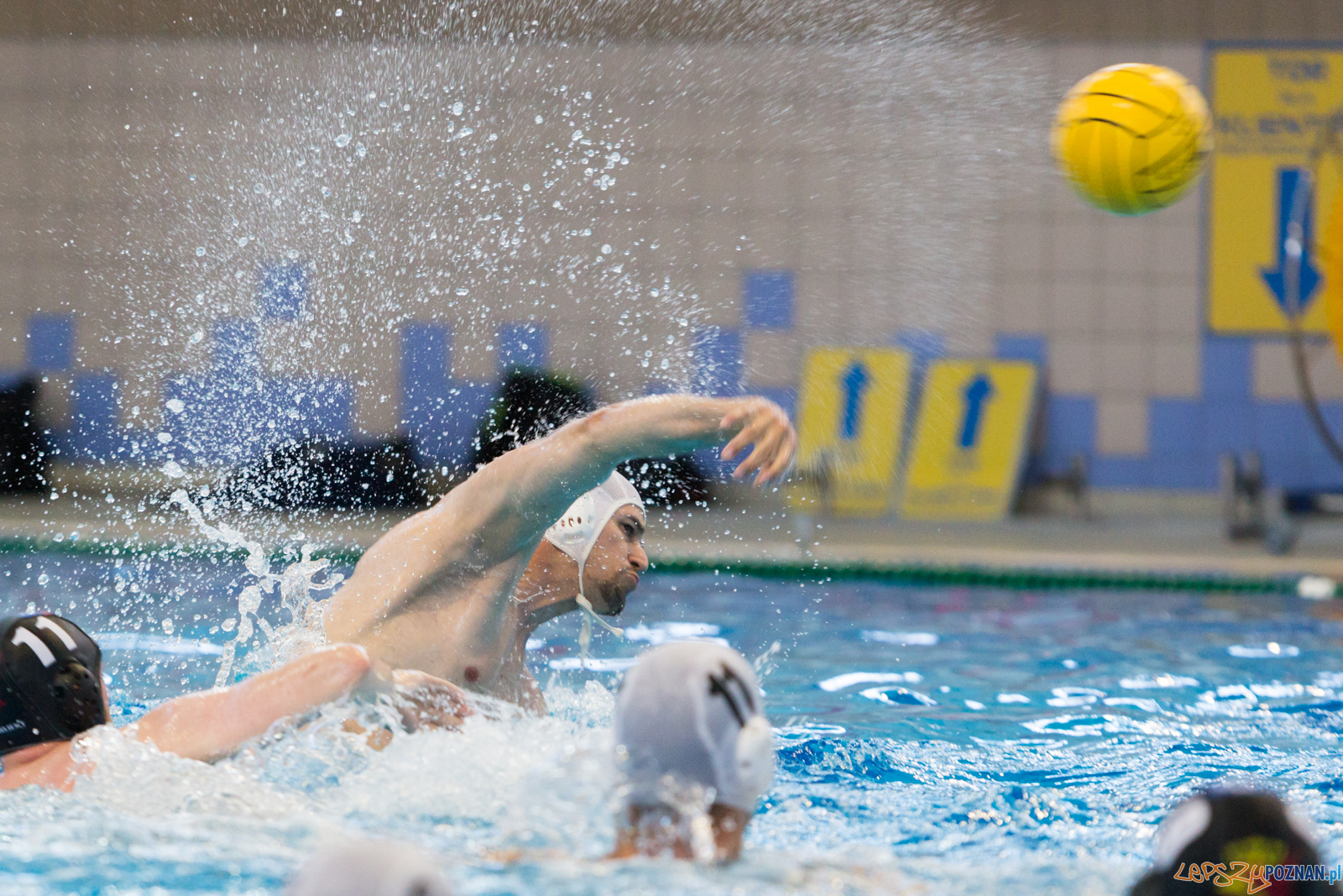 Waterpolo Poznań - Arkonia Szczecin Foto: lepszyPOZNAN.pl/Piotr Rychter Waterpolo Poznań - Arkonia Szczecin Foto: lepszyPOZNAN.pl/Piotr Rychter