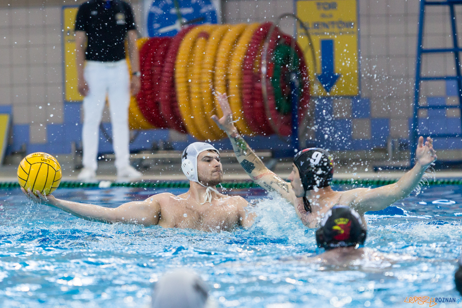 Waterpolo Poznań - Arkonia Szczecin Foto: lepszyPOZNAN.pl/Piotr Rychter Waterpolo Poznań - Arkonia Szczecin Foto: lepszyPOZNAN.pl/Piotr Rychter
