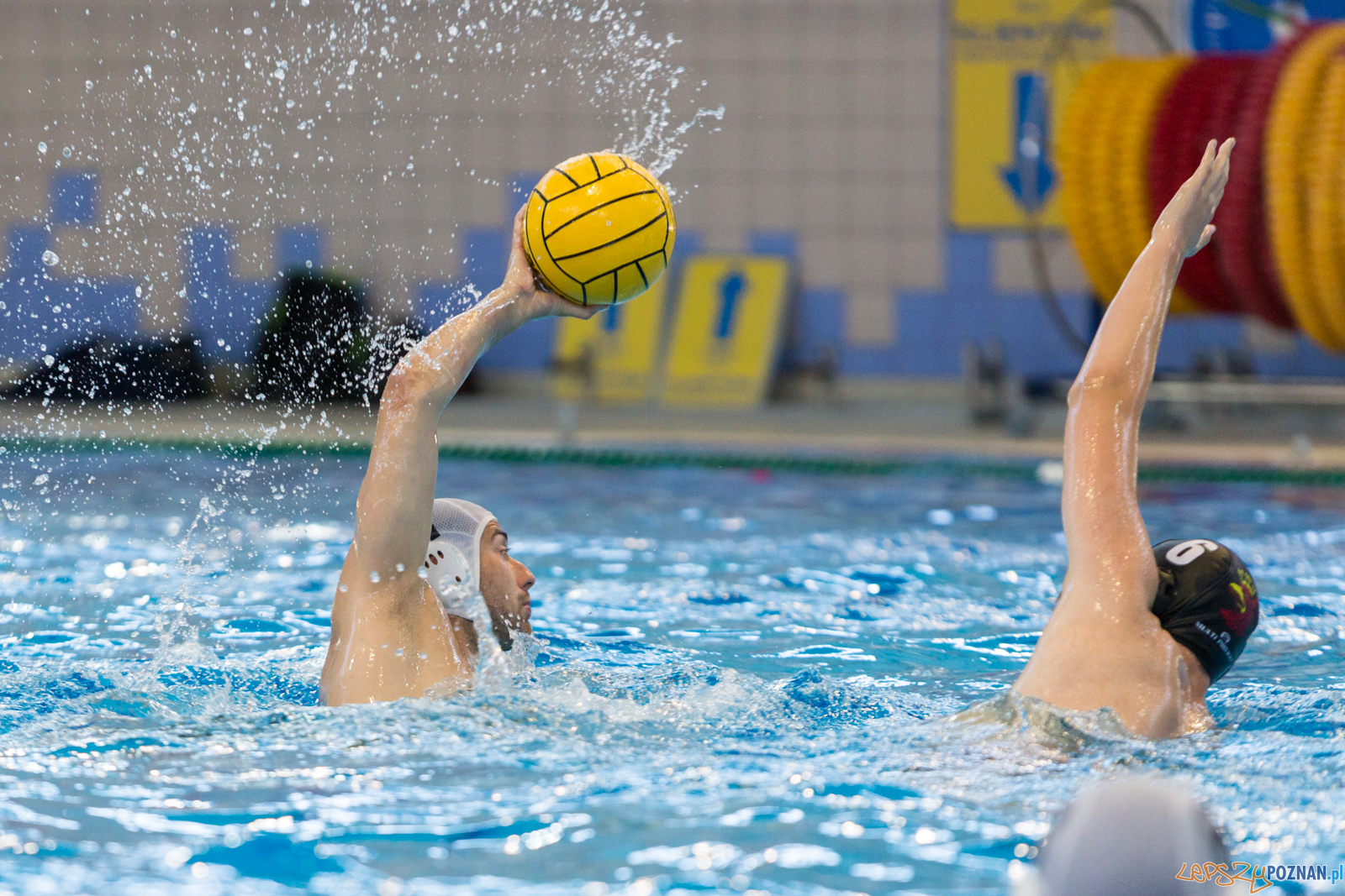 Waterpolo Poznań - Arkonia Szczecin Foto: lepszyPOZNAN.pl/Piotr Rychter Waterpolo Poznań - Arkonia Szczecin Foto: lepszyPOZNAN.pl/Piotr Rychter
