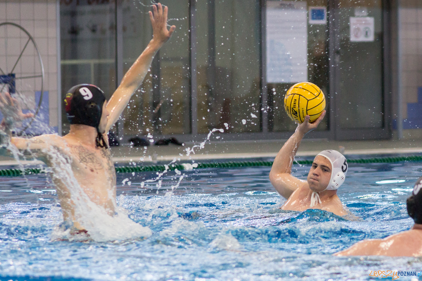 KS Waterpolo Poznań - Arkonia Szczecin Foto: lepszyPOZNAN.pl / Ewelina Jaśkowiak KS Waterpolo Poznań - Arkonia Szczecin Foto: lepszyPOZNAN.pl / Ewelina Jaśkowiak
