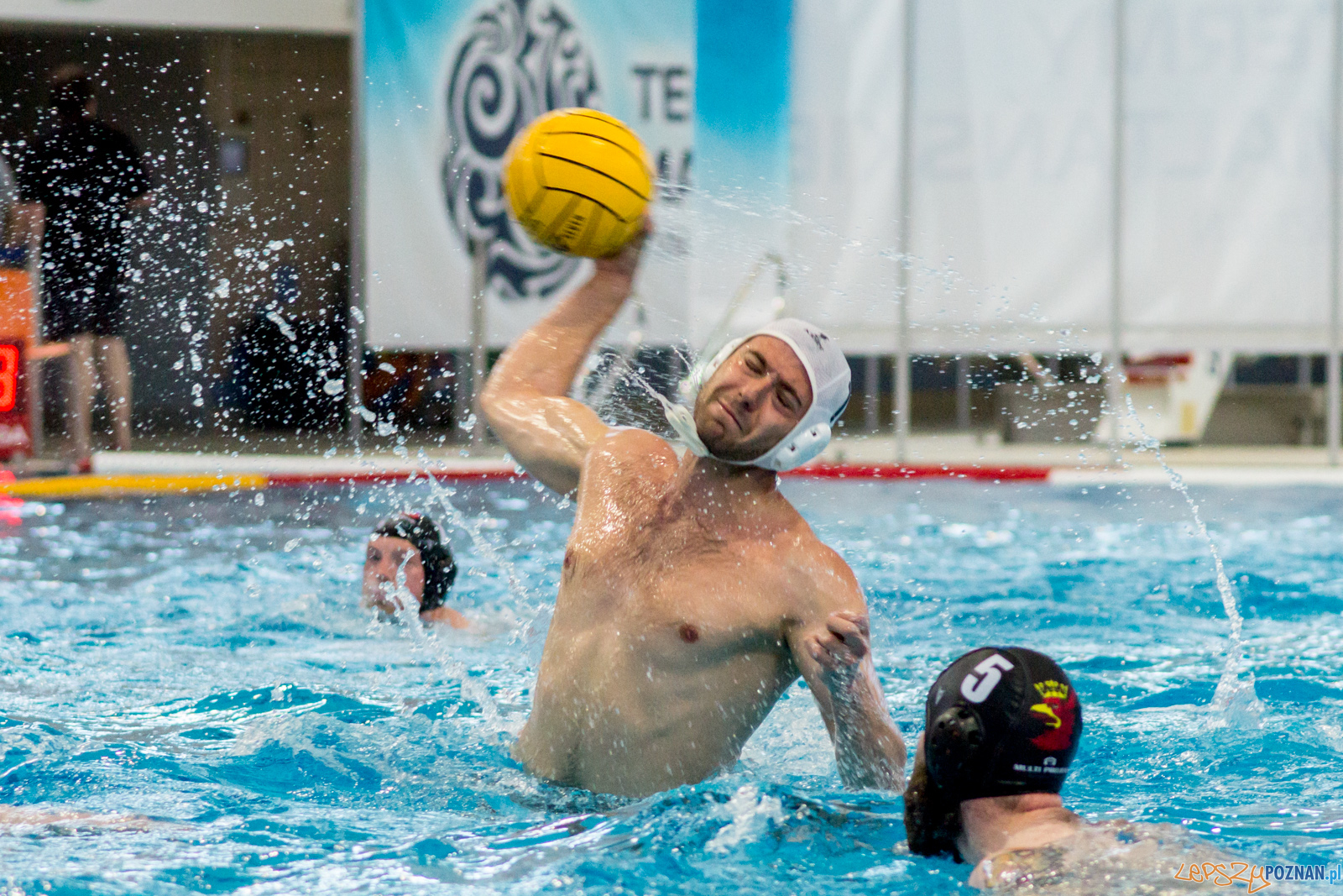 KS Waterpolo Poznań - Arkonia Szczecin Foto: lepszyPOZNAN.pl / Ewelina Jaśkowiak KS Waterpolo Poznań - Arkonia Szczecin Foto: lepszyPOZNAN.pl / Ewelina Jaśkowiak
