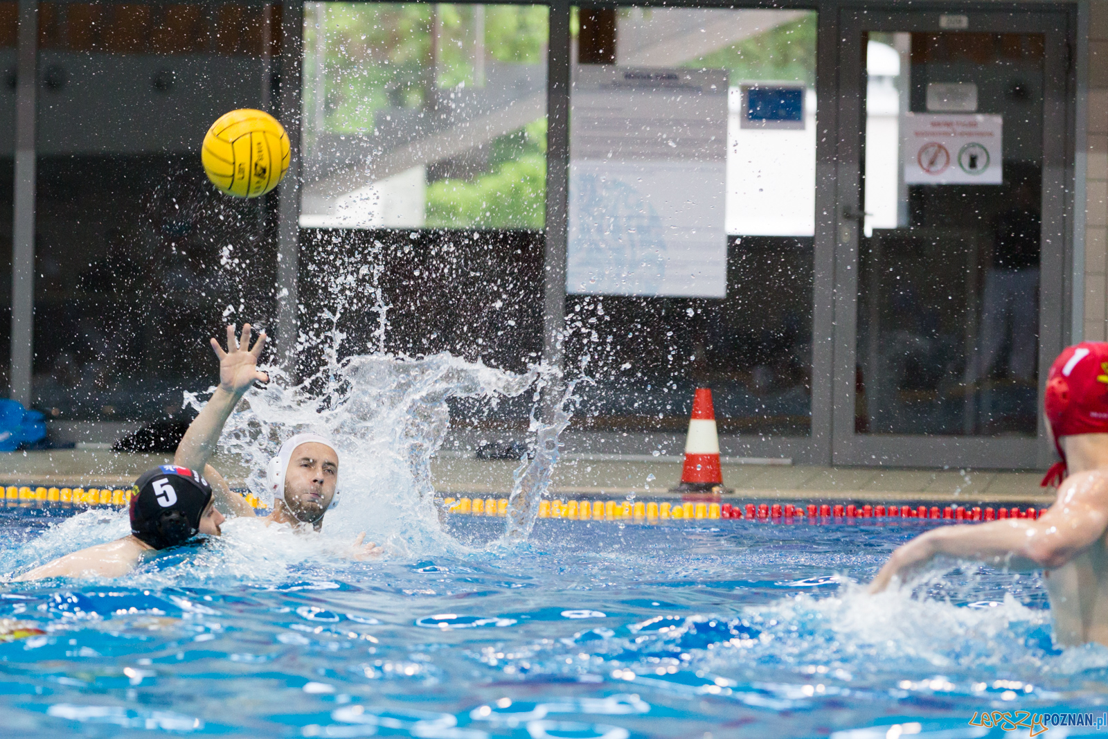 Waterpolo Poznań - Arkonia Szczecin Foto: lepszyPOZNAN.pl/Piotr Rychter Waterpolo Poznań - Arkonia Szczecin Foto: lepszyPOZNAN.pl/Piotr Rychter
