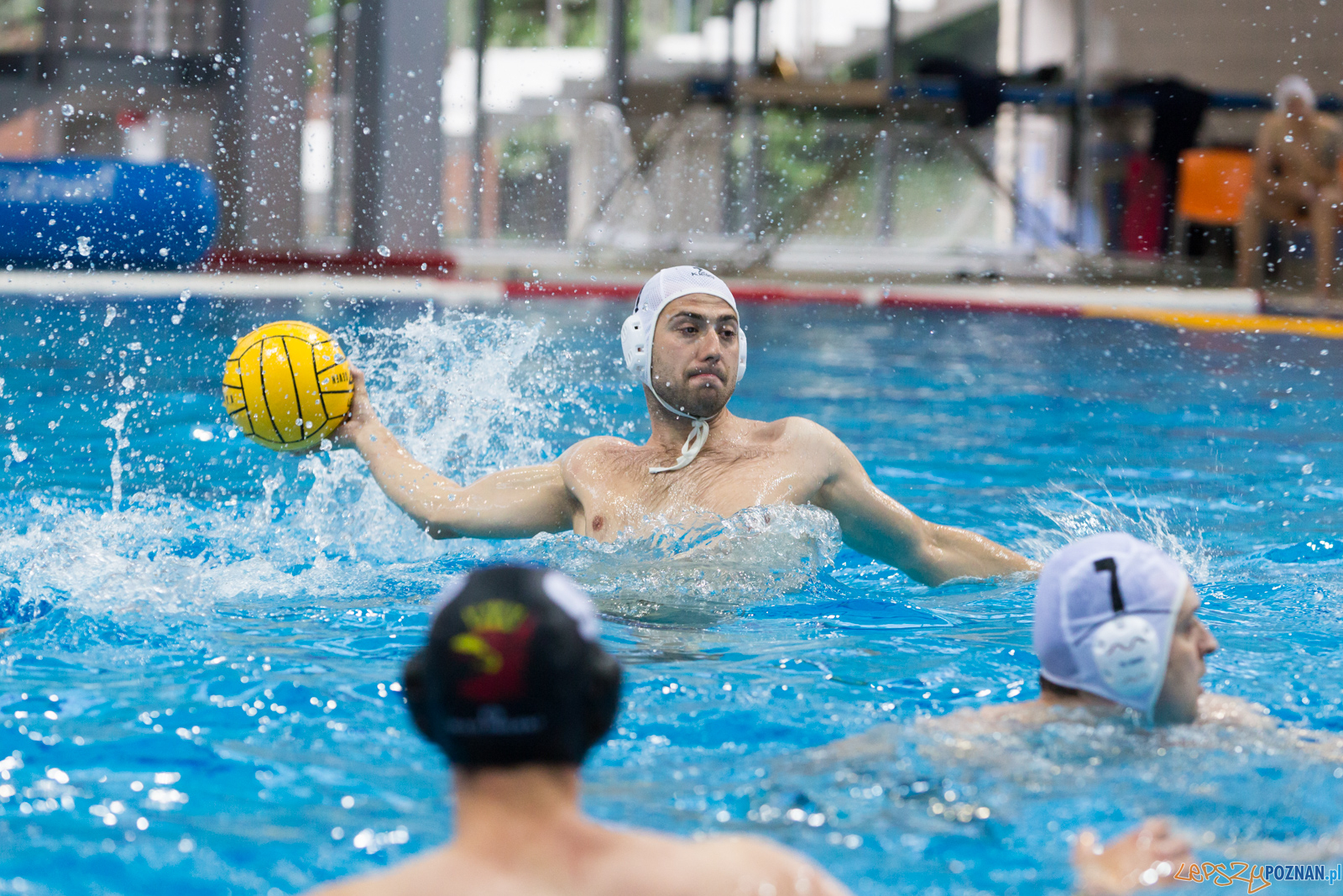 Waterpolo Poznań - Arkonia Szczecin Foto: lepszyPOZNAN.pl/Piotr Rychter Waterpolo Poznań - Arkonia Szczecin Foto: lepszyPOZNAN.pl/Piotr Rychter