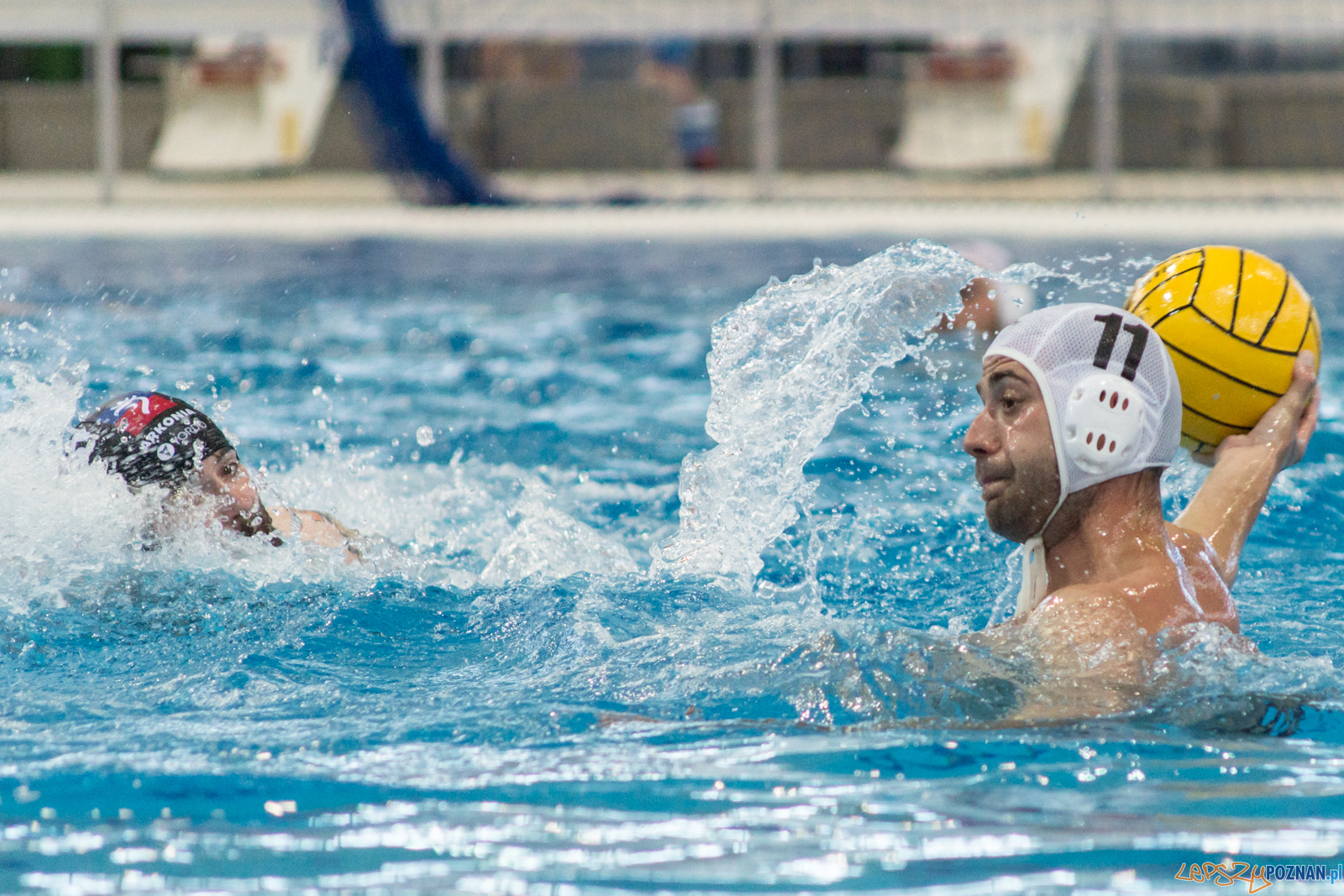 KS Waterpolo Poznań - Arkonia Szczecin Foto: lepszyPOZNAN.pl / Ewelina Jaśkowiak KS Waterpolo Poznań - Arkonia Szczecin Foto: lepszyPOZNAN.pl / Ewelina Jaśkowiak