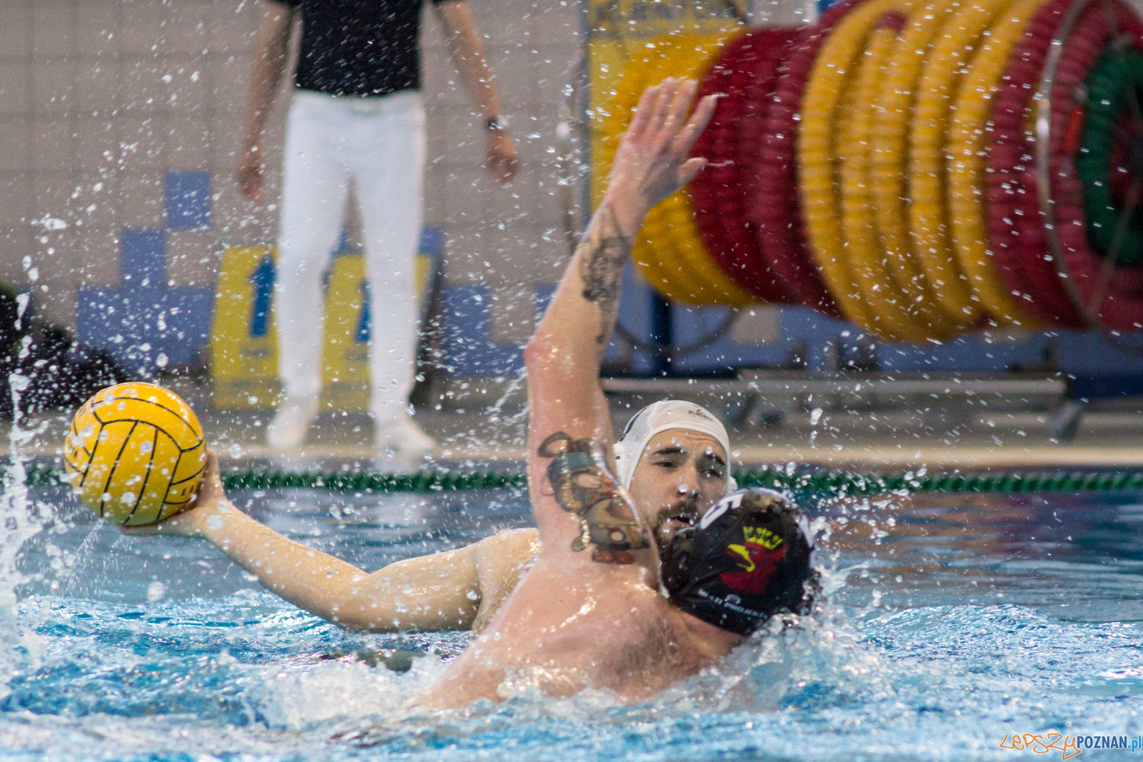 KS Waterpolo Poznań - Arkonia Szczecin Foto: lepszyPOZNAN.pl / Ewelina Jaśkowiak KS Waterpolo Poznań - Arkonia Szczecin Foto: lepszyPOZNAN.pl / Ewelina Jaśkowiak