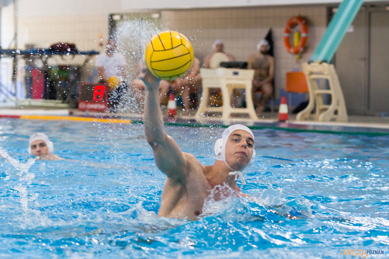 Waterpolo Poznań - Arkonia Szczecin Foto: lepszyPOZNAN.pl/Piotr Rychter Waterpolo Poznań - Arkonia Szczecin Foto: lepszyPOZNAN.pl/Piotr Rychter