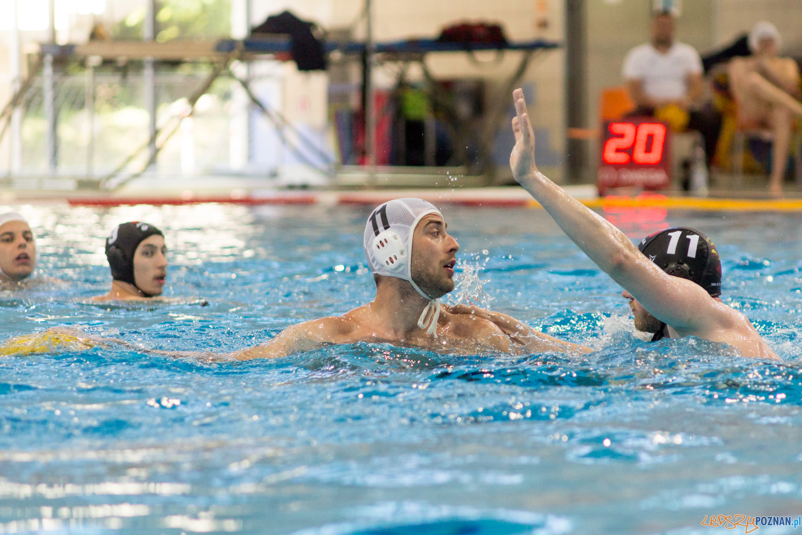 KS Waterpolo Poznań - Arkonia Szczecin Foto: lepszyPOZNAN.pl / Ewelina Jaśkowiak KS Waterpolo Poznań - Arkonia Szczecin Foto: lepszyPOZNAN.pl / Ewelina Jaśkowiak