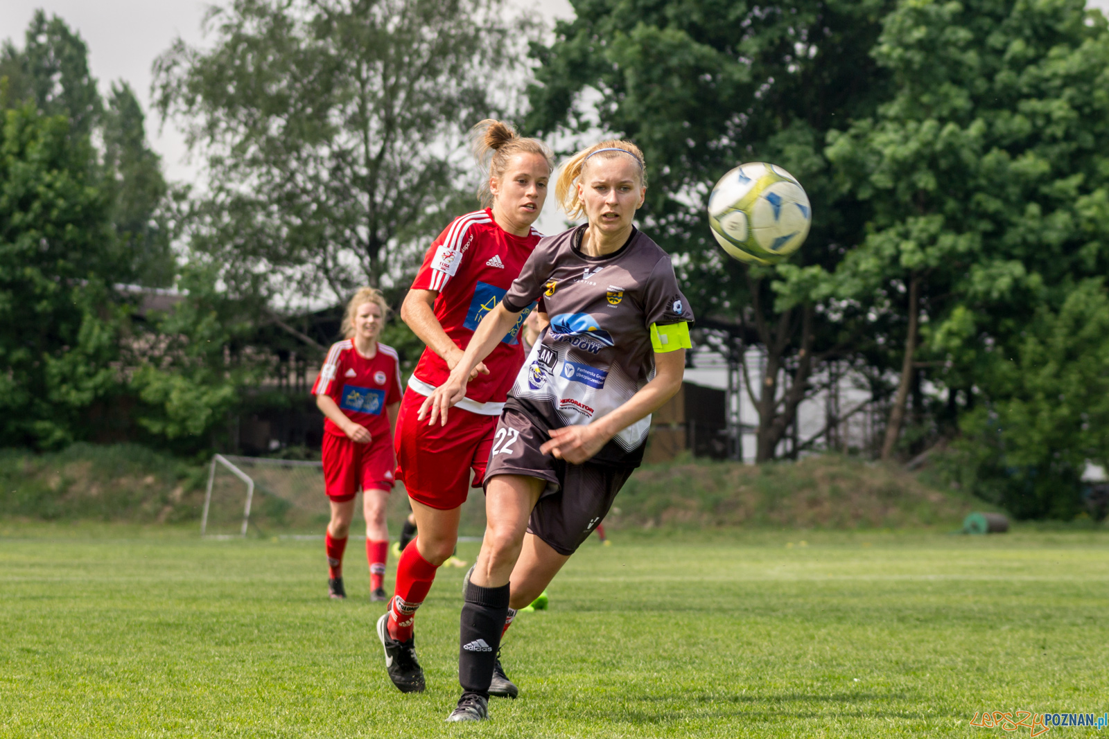 TS Polonia Poznań vs MUKS "Dargfil" Tomaszów Mazowiecki Foto: lepszyPOZNAN.pl / Ewelina Jaśkowiak TS Polonia Poznań vs MUKS "Dargfil" Tomaszów Mazowiecki Foto: lepszyPOZNAN.pl / Ewelina Jaśkowiak