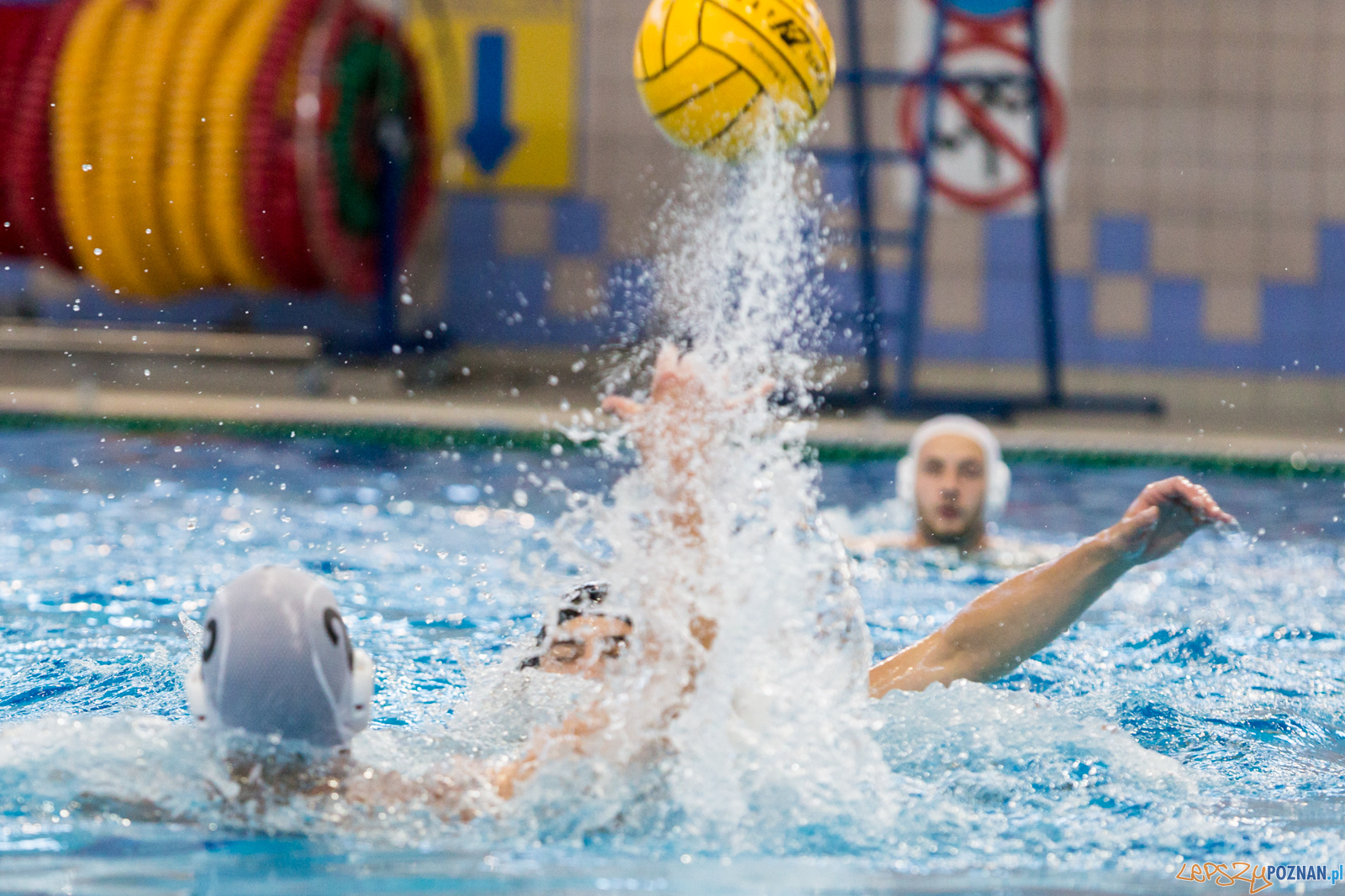 Waterpolo Poznań - Arkonia Szczecin Foto: lepszyPOZNAN.pl/Piotr Rychter Waterpolo Poznań - Arkonia Szczecin Foto: lepszyPOZNAN.pl/Piotr Rychter