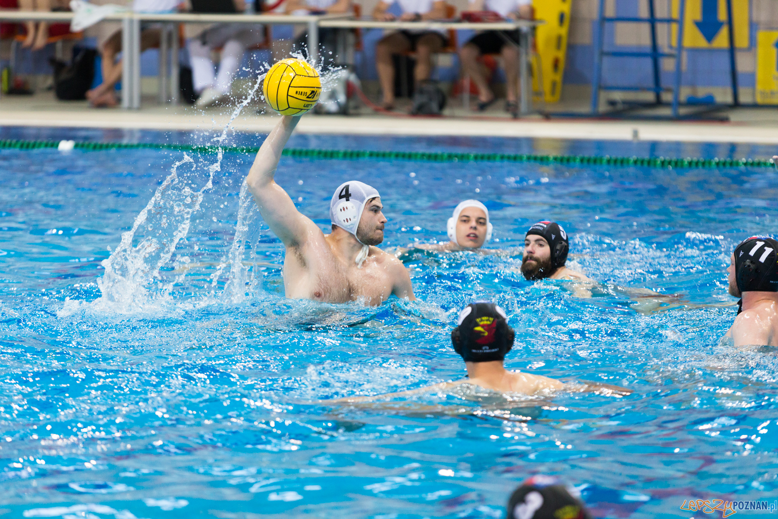 Waterpolo Poznań - Arkonia Szczecin Foto: lepszyPOZNAN.pl/Piotr Rychter Waterpolo Poznań - Arkonia Szczecin Foto: lepszyPOZNAN.pl/Piotr Rychter