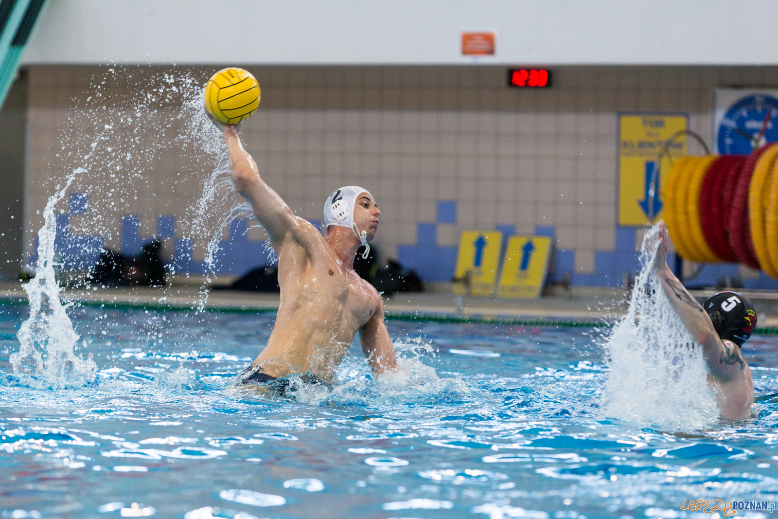 Waterpolo Poznań - Arkonia Szczecin Foto: lepszyPOZNAN.pl/Piotr Rychter Waterpolo Poznań - Arkonia Szczecin Foto: lepszyPOZNAN.pl/Piotr Rychter
