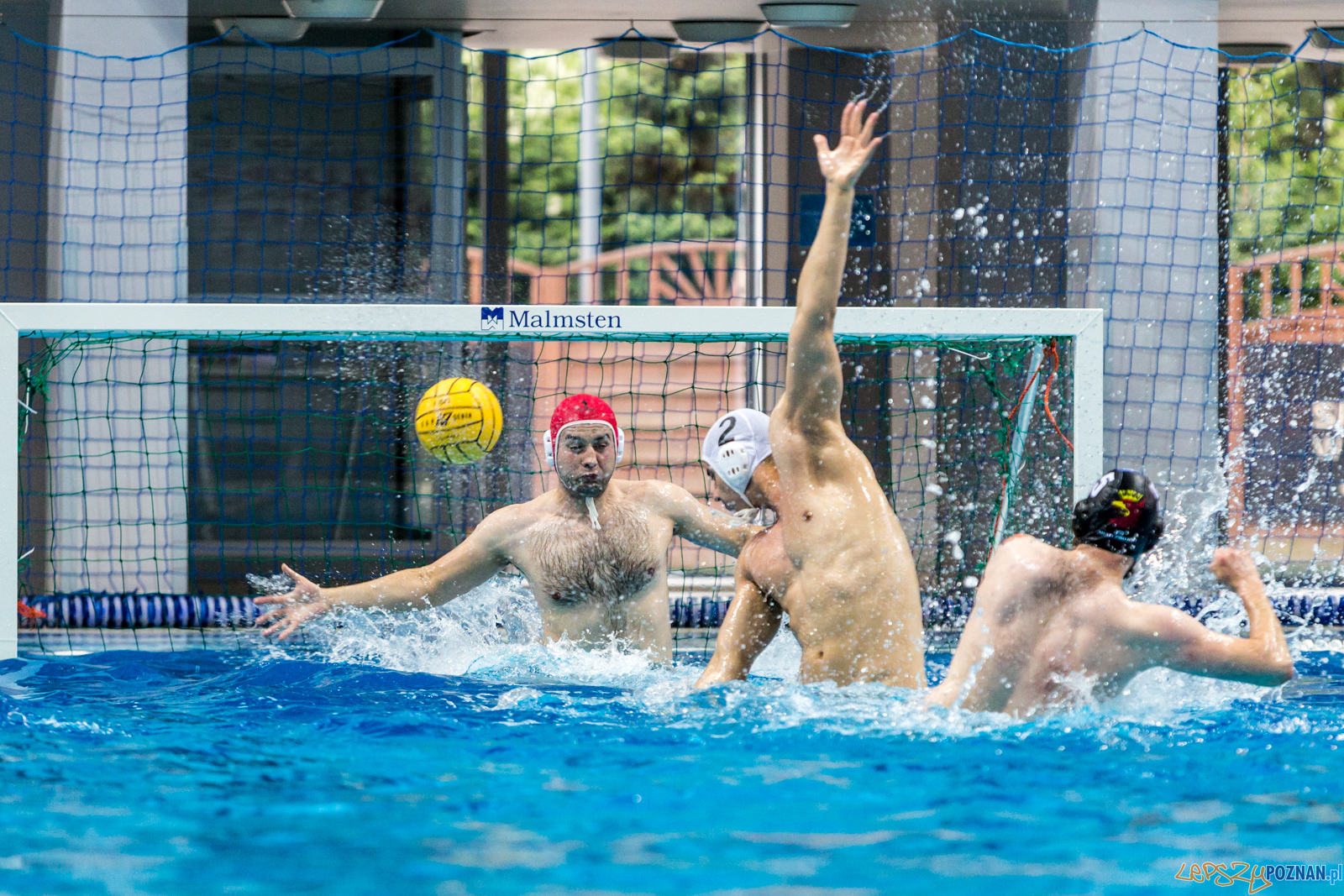 Waterpolo Poznań - Arkonia Szczecin Foto: lepszyPOZNAN.pl/Piotr Rychter Waterpolo Poznań - Arkonia Szczecin Foto: lepszyPOZNAN.pl/Piotr Rychter