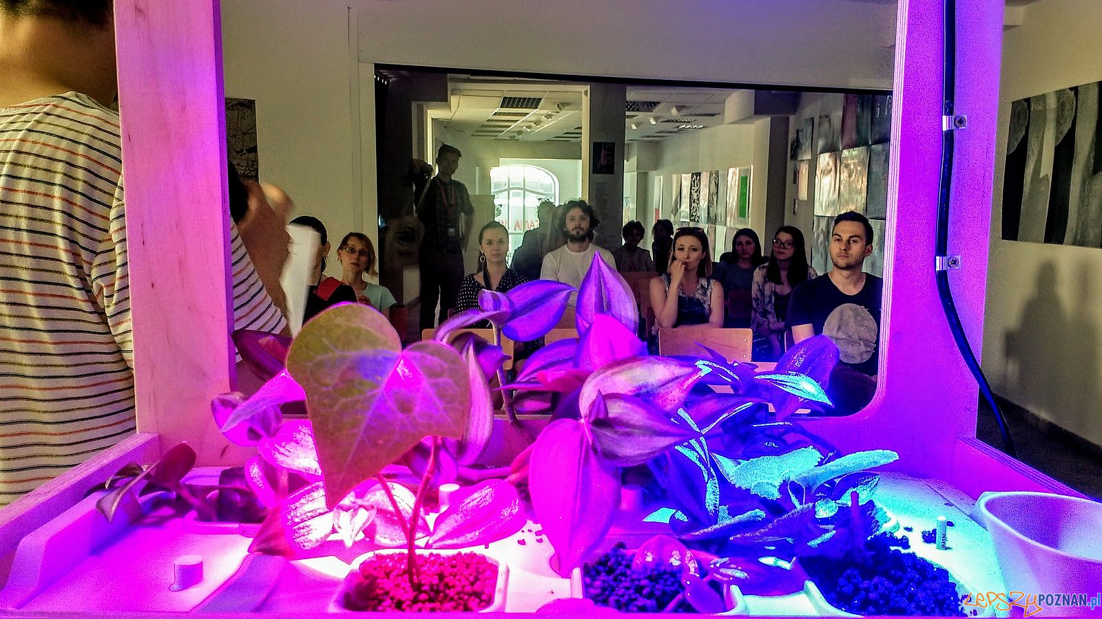 Poznań Design Festiwal Foto: Wojciech Mania / materiały prasowe Poznań Design Festiwal Foto: Wojciech Mania / materiały prasowe