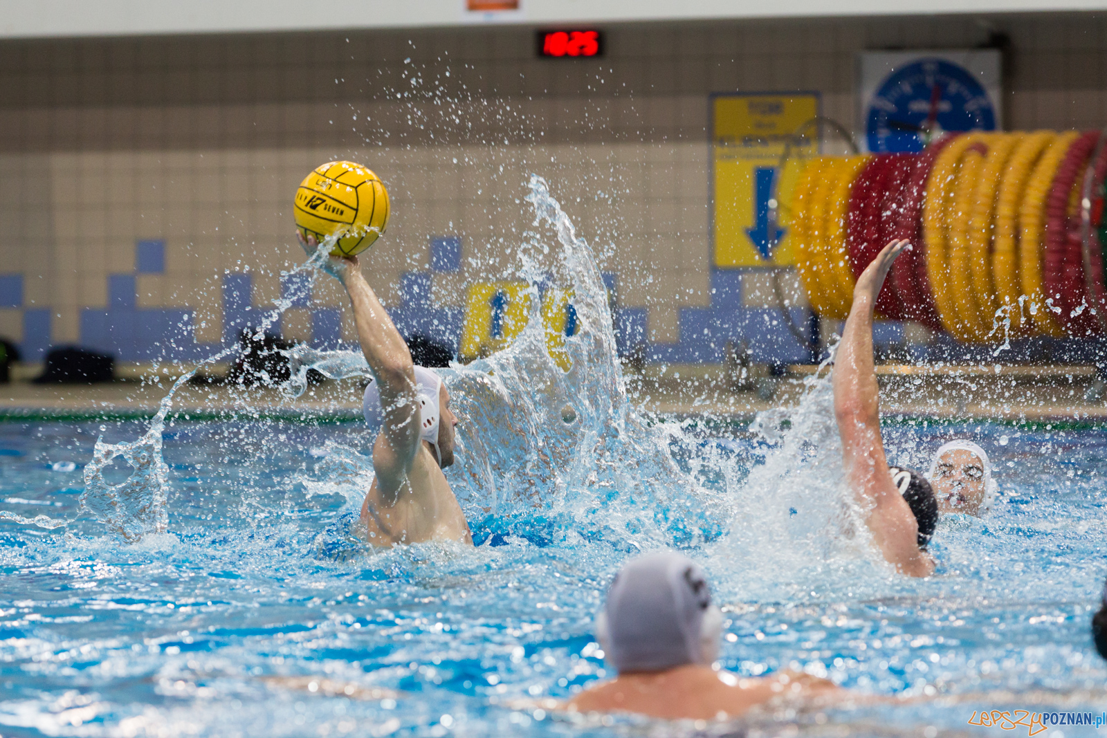 Waterpolo Poznań - Arkonia Szczecin Foto: lepszyPOZNAN.pl/Piotr Rychter Waterpolo Poznań - Arkonia Szczecin Foto: lepszyPOZNAN.pl/Piotr Rychter
