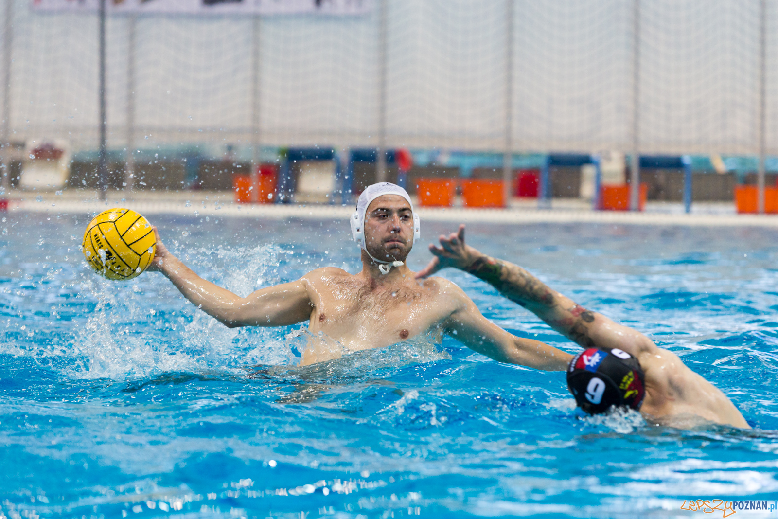 Waterpolo Poznań - Arkonia Szczecin Foto: lepszyPOZNAN.pl/Piotr Rychter Waterpolo Poznań - Arkonia Szczecin Foto: lepszyPOZNAN.pl/Piotr Rychter