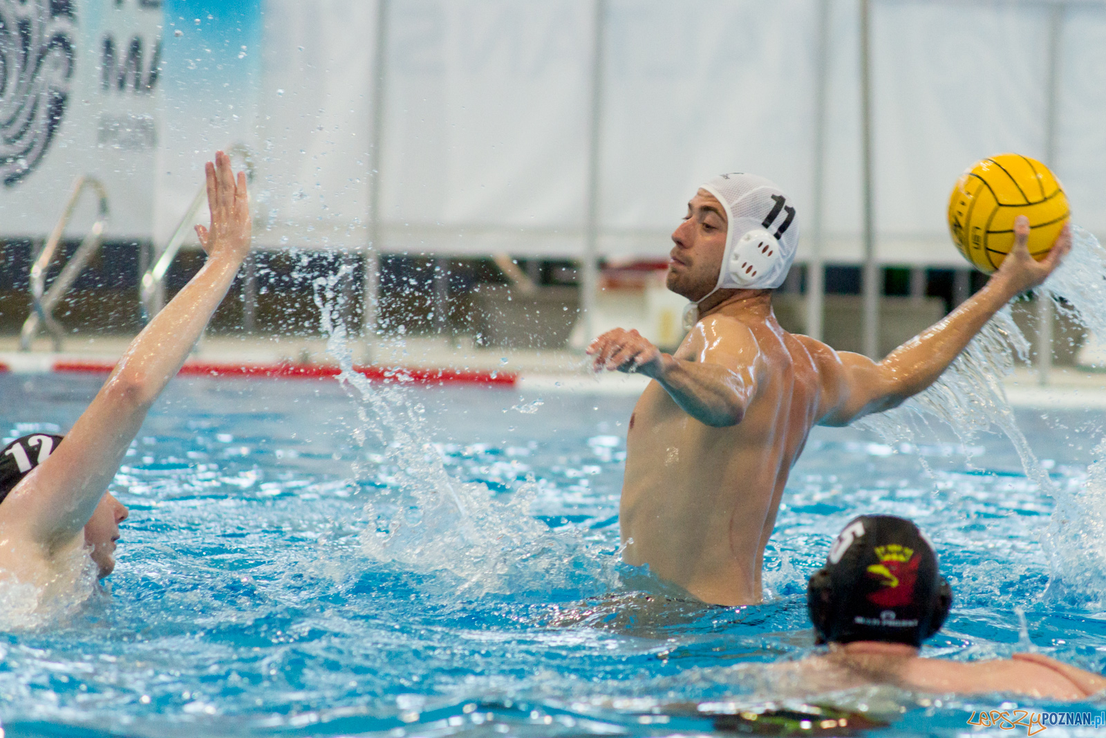 KS Waterpolo Poznań - Arkonia Szczecin Foto: lepszyPOZNAN.pl / Ewelina Jaśkowiak KS Waterpolo Poznań - Arkonia Szczecin Foto: lepszyPOZNAN.pl / Ewelina Jaśkowiak