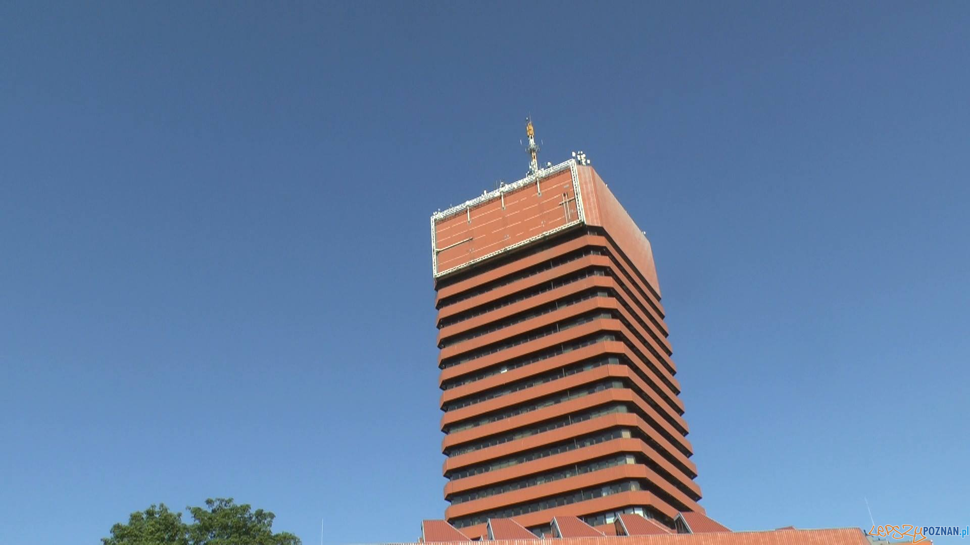 Collegium Altum Foto: Peregrine Project Poland / facebook Collegium Altum Foto: Peregrine Project Poland / facebook