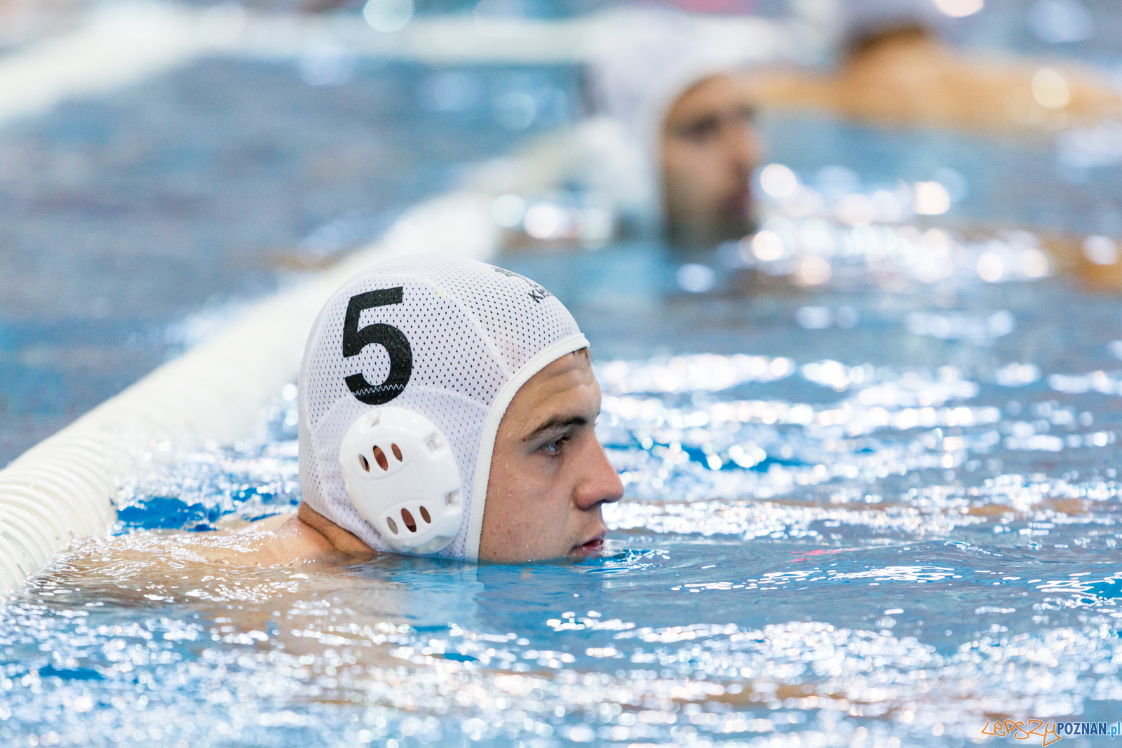 Waterpolo Poznań - Arkonia Szczecin Foto: lepszyPOZNAN.pl/Piotr Rychter Waterpolo Poznań - Arkonia Szczecin Foto: lepszyPOZNAN.pl/Piotr Rychter