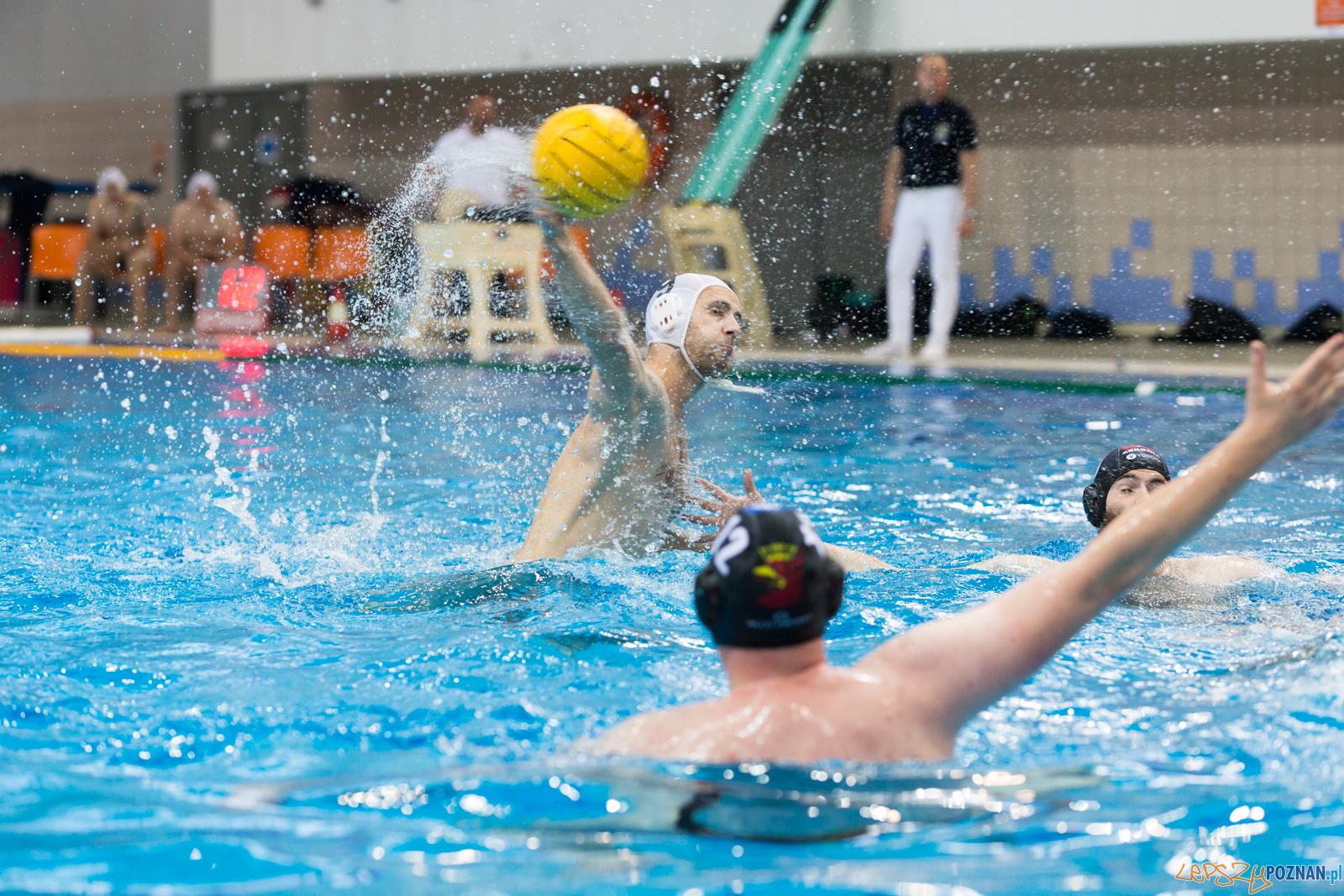 Waterpolo Poznań - Arkonia Szczecin Foto: lepszyPOZNAN.pl/Piotr Rychter Waterpolo Poznań - Arkonia Szczecin Foto: lepszyPOZNAN.pl/Piotr Rychter