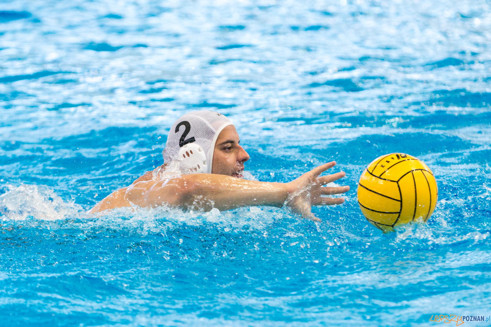 Waterpolo Poznań - Arkonia Szczecin Foto: lepszyPOZNAN.pl/Piotr Rychter Waterpolo Poznań - Arkonia Szczecin Foto: lepszyPOZNAN.pl/Piotr Rychter