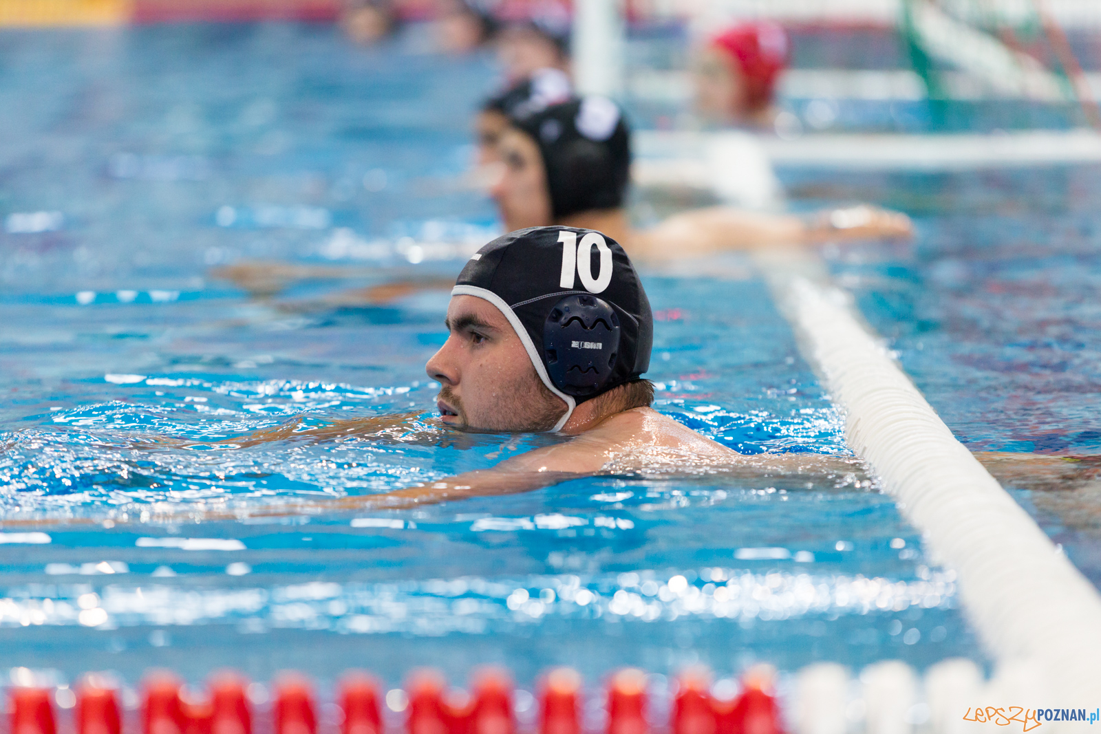 Waterpolo Poznań - Arkonia Szczecin Foto: lepszyPOZNAN.pl/Piotr Rychter Waterpolo Poznań - Arkonia Szczecin Foto: lepszyPOZNAN.pl/Piotr Rychter