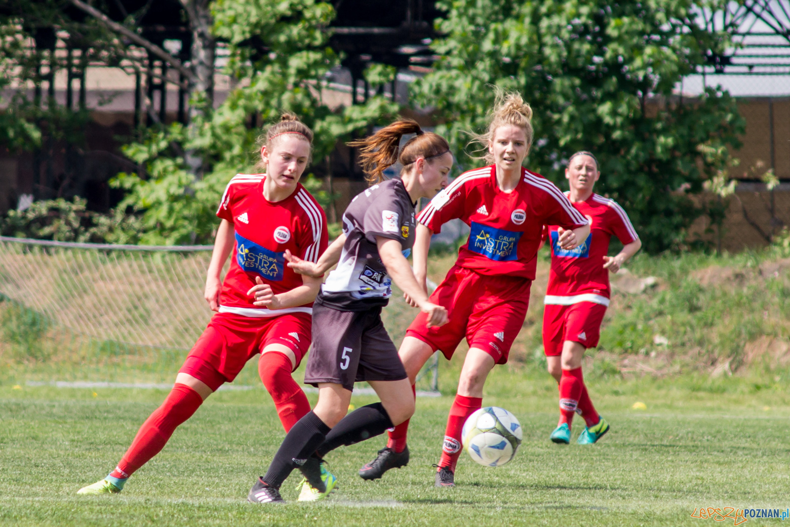 TS Polonia Poznań vs MUKS "Dargfil" Tomaszów Mazowiecki Foto: lepszyPOZNAN.pl / Ewelina Jaśkowiak TS Polonia Poznań vs MUKS "Dargfil" Tomaszów Mazowiecki Foto: lepszyPOZNAN.pl / Ewelina Jaśkowiak