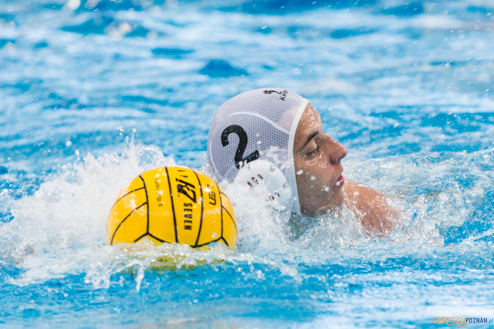 Waterpolo Poznań - Arkonia Szczecin Foto: lepszyPOZNAN.pl/Piotr Rychter Waterpolo Poznań - Arkonia Szczecin Foto: lepszyPOZNAN.pl/Piotr Rychter