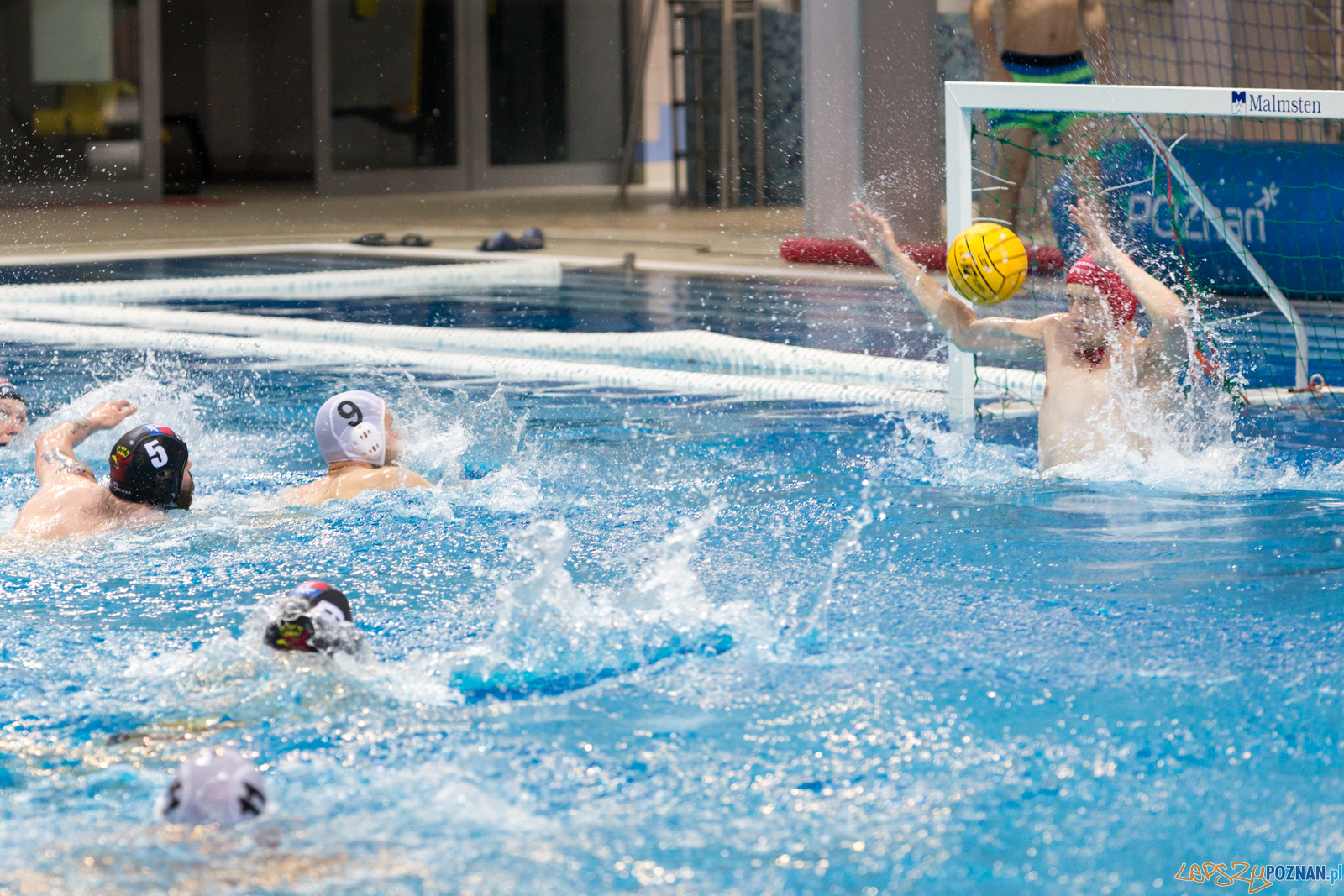 Waterpolo Poznań - Arkonia Szczecin Foto: lepszyPOZNAN.pl/Piotr Rychter Waterpolo Poznań - Arkonia Szczecin Foto: lepszyPOZNAN.pl/Piotr Rychter