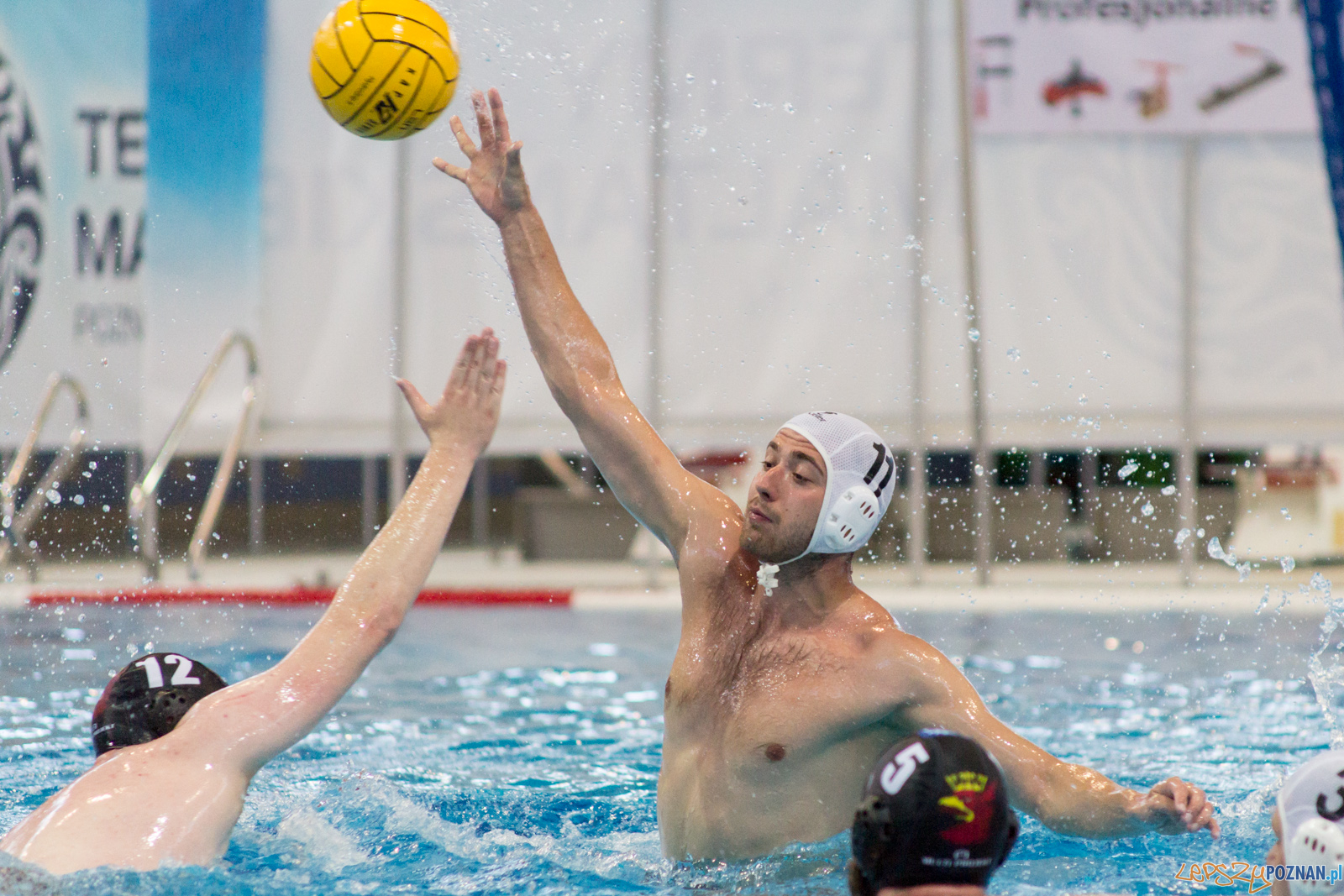 KS Waterpolo Poznań - Arkonia Szczecin Foto: lepszyPOZNAN.pl / Ewelina Jaśkowiak KS Waterpolo Poznań - Arkonia Szczecin Foto: lepszyPOZNAN.pl / Ewelina Jaśkowiak