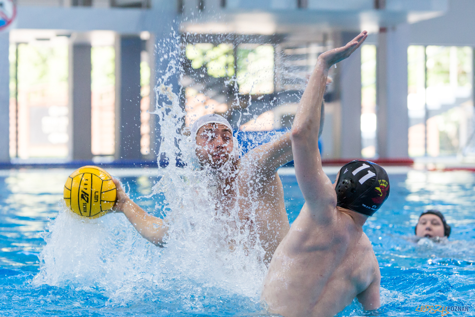 Waterpolo Poznań - Arkonia Szczecin Foto: lepszyPOZNAN.pl/Piotr Rychter Waterpolo Poznań - Arkonia Szczecin Foto: lepszyPOZNAN.pl/Piotr Rychter