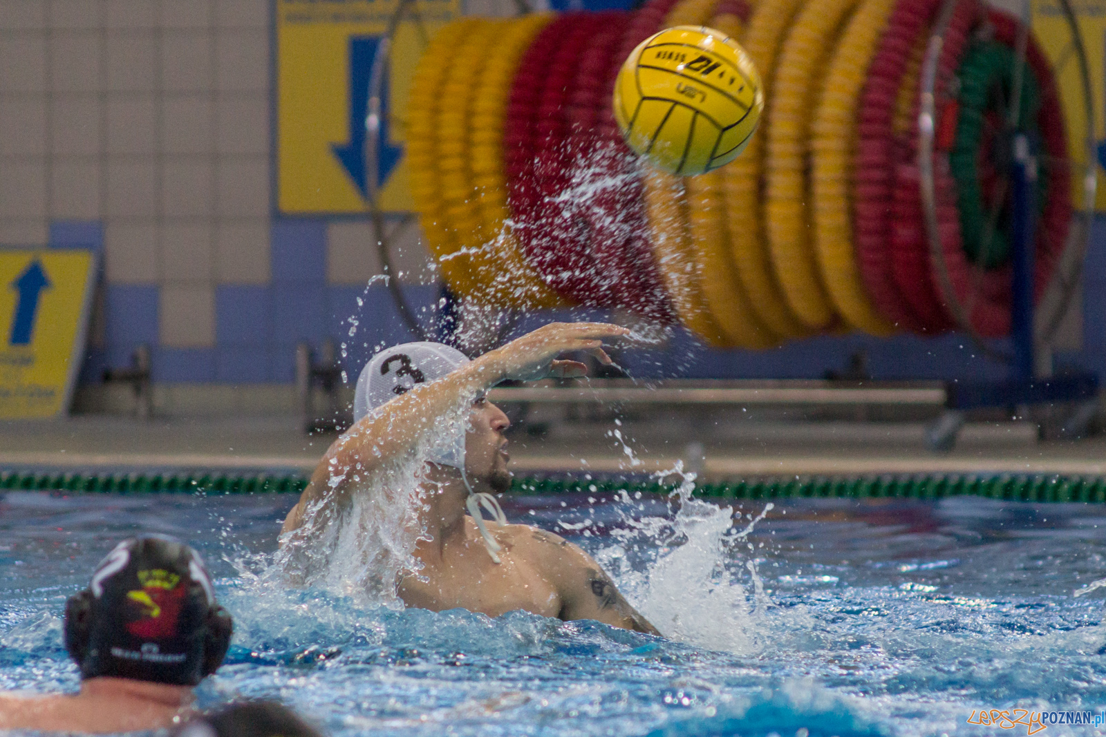 KS Waterpolo Poznań - Arkonia Szczecin Foto: lepszyPOZNAN.pl / Ewelina Jaśkowiak KS Waterpolo Poznań - Arkonia Szczecin Foto: lepszyPOZNAN.pl / Ewelina Jaśkowiak