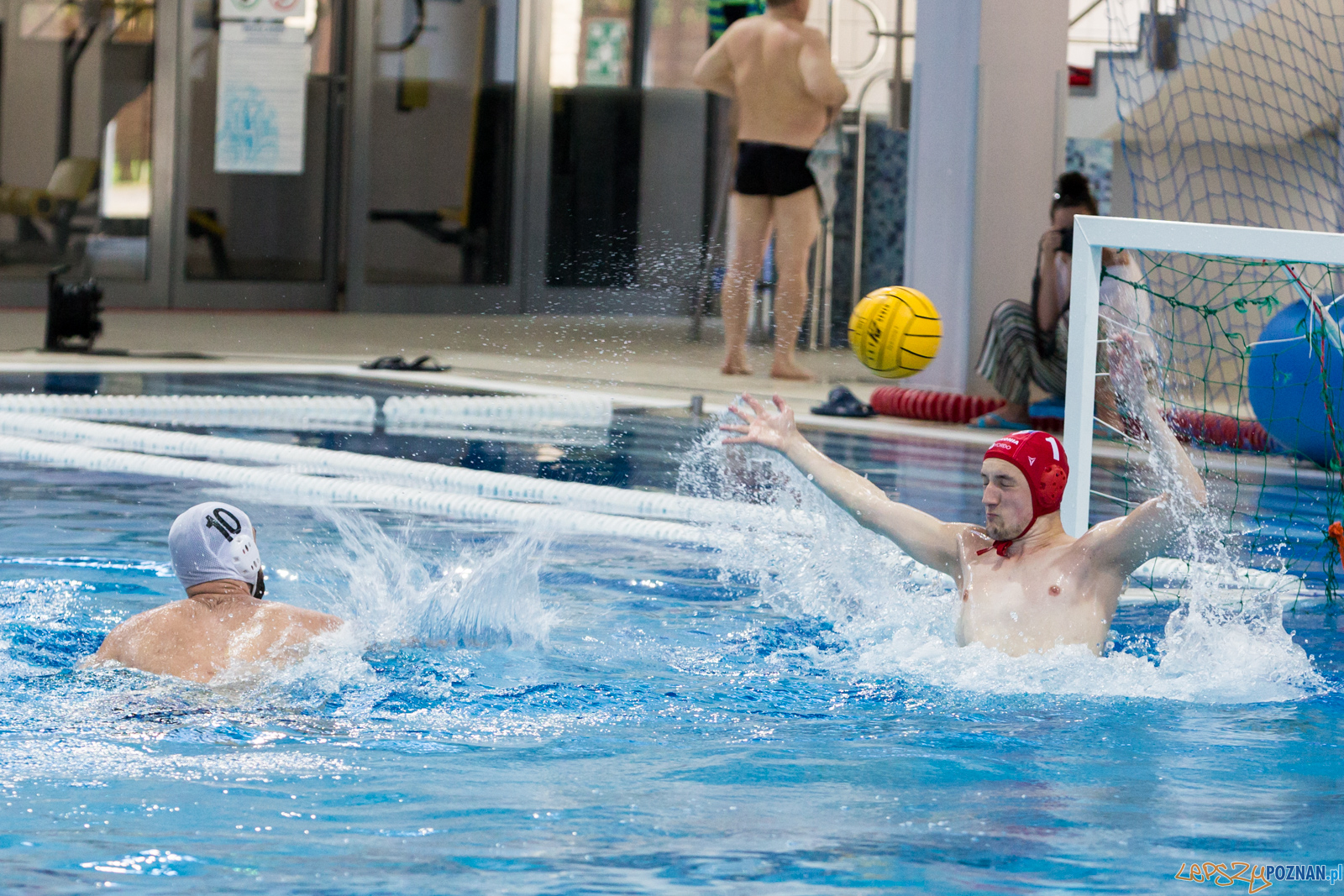 Waterpolo Poznań - Arkonia Szczecin Foto: lepszyPOZNAN.pl/Piotr Rychter Waterpolo Poznań - Arkonia Szczecin Foto: lepszyPOZNAN.pl/Piotr Rychter