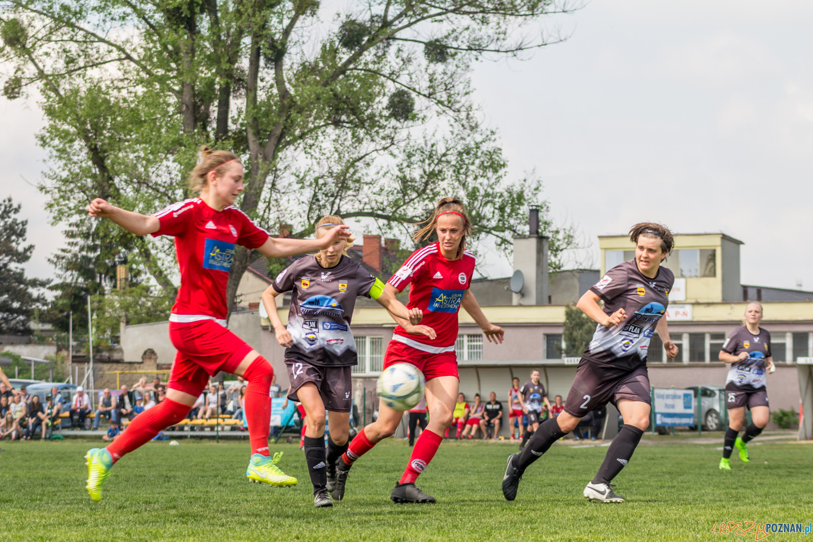 TS Polonia Poznań vs MUKS "Dargfil" Tomaszów Mazowiecki Foto: lepszyPOZNAN.pl / Ewelina Jaśkowiak TS Polonia Poznań vs MUKS "Dargfil" Tomaszów Mazowiecki Foto: lepszyPOZNAN.pl / Ewelina Jaśkowiak