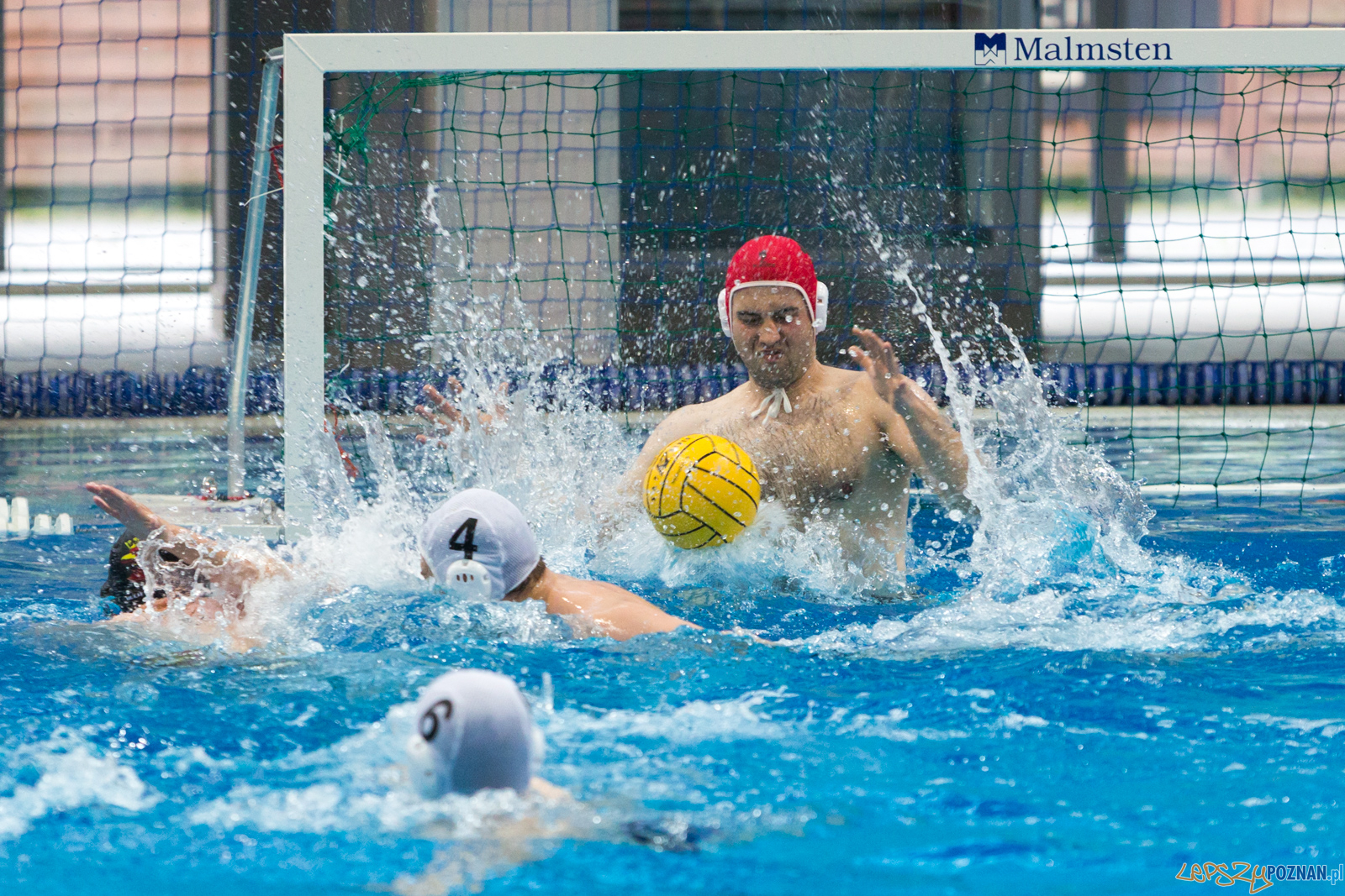 Waterpolo Poznań - Arkonia Szczecin Foto: lepszyPOZNAN.pl/Piotr Rychter Waterpolo Poznań - Arkonia Szczecin Foto: lepszyPOZNAN.pl/Piotr Rychter