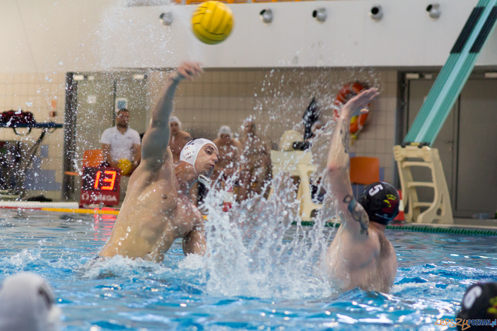 KS Waterpolo Poznań - Arkonia Szczecin Foto: lepszyPOZNAN.pl / Ewelina Jaśkowiak KS Waterpolo Poznań - Arkonia Szczecin Foto: lepszyPOZNAN.pl / Ewelina Jaśkowiak