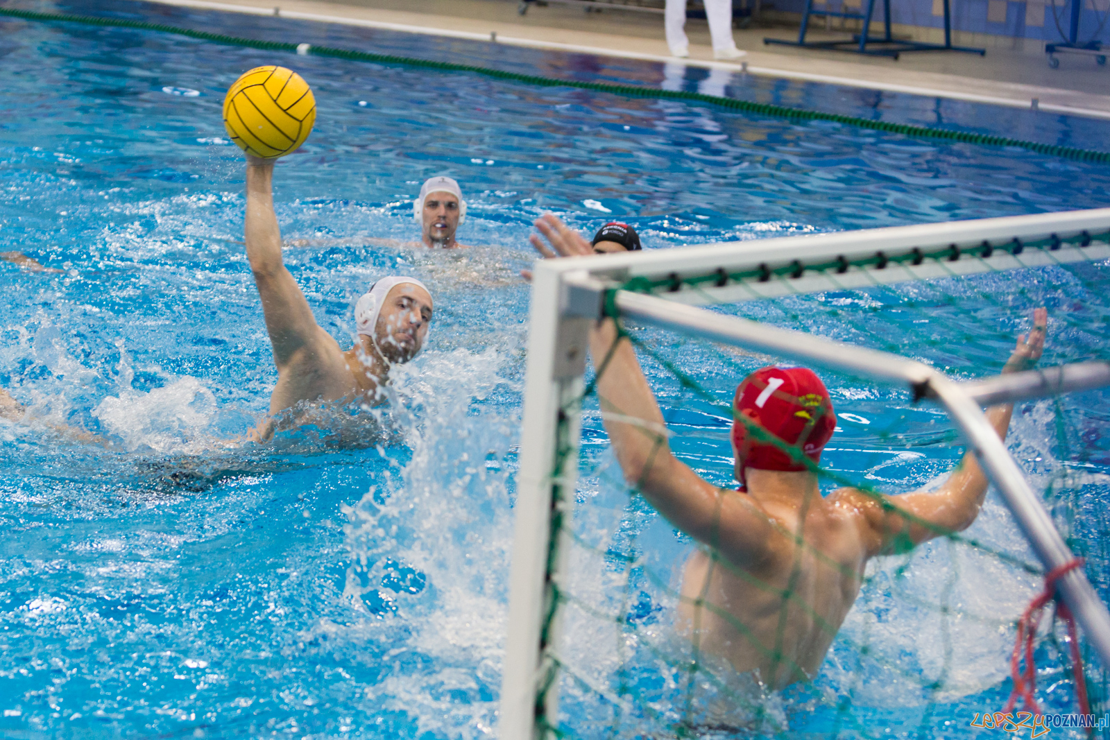 Waterpolo Poznań - Arkonia Szczecin Foto: lepszyPOZNAN.pl/Piotr Rychter Waterpolo Poznań - Arkonia Szczecin Foto: lepszyPOZNAN.pl/Piotr Rychter