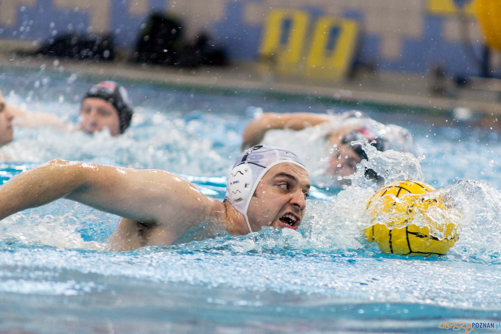 KS Waterpolo Poznań - Arkonia Szczecin Foto: lepszyPOZNAN.pl / Ewelina Jaśkowiak KS Waterpolo Poznań - Arkonia Szczecin Foto: lepszyPOZNAN.pl / Ewelina Jaśkowiak