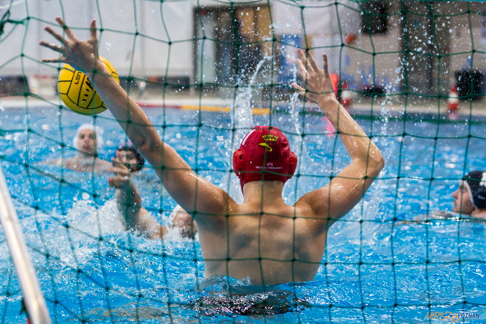 Waterpolo Poznań - Arkonia Szczecin Foto: lepszyPOZNAN.pl/Piotr Rychter Waterpolo Poznań - Arkonia Szczecin Foto: lepszyPOZNAN.pl/Piotr Rychter